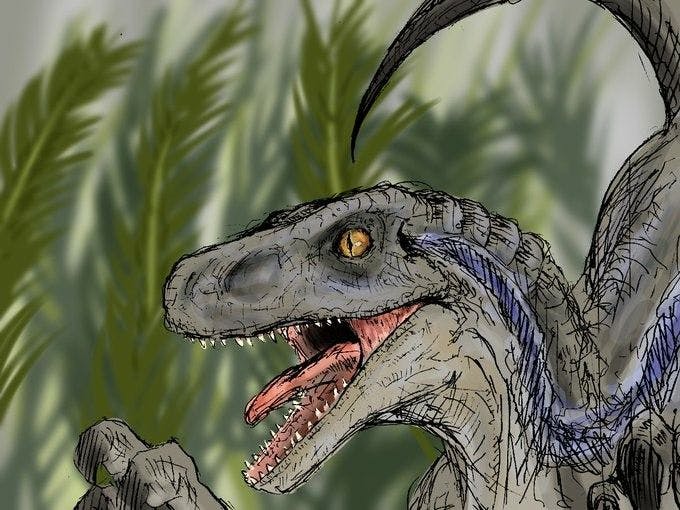 user avatar image for Connor