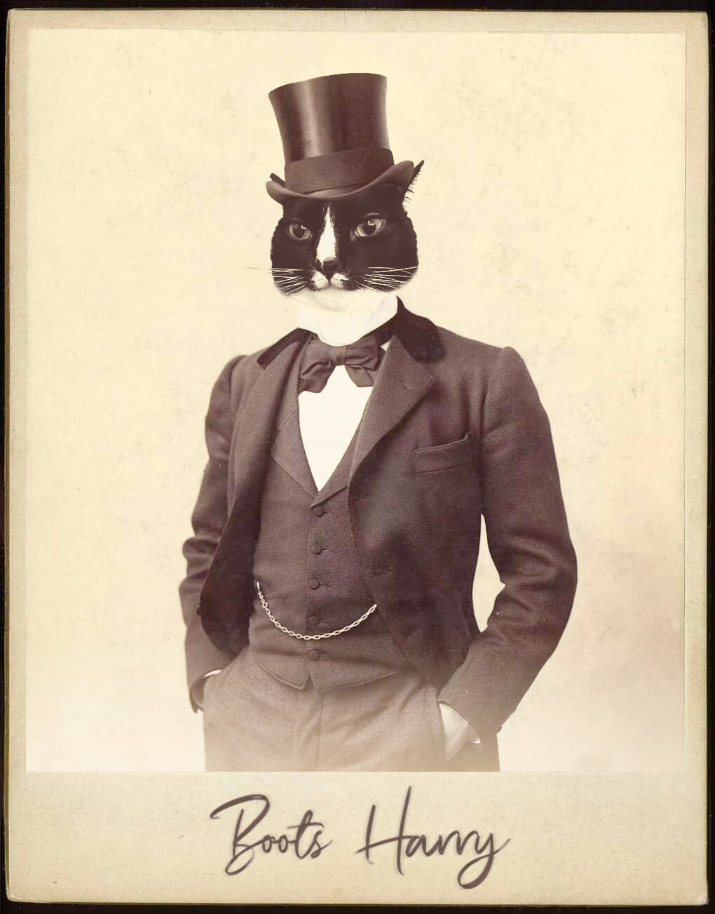 user avatar image for James Harry