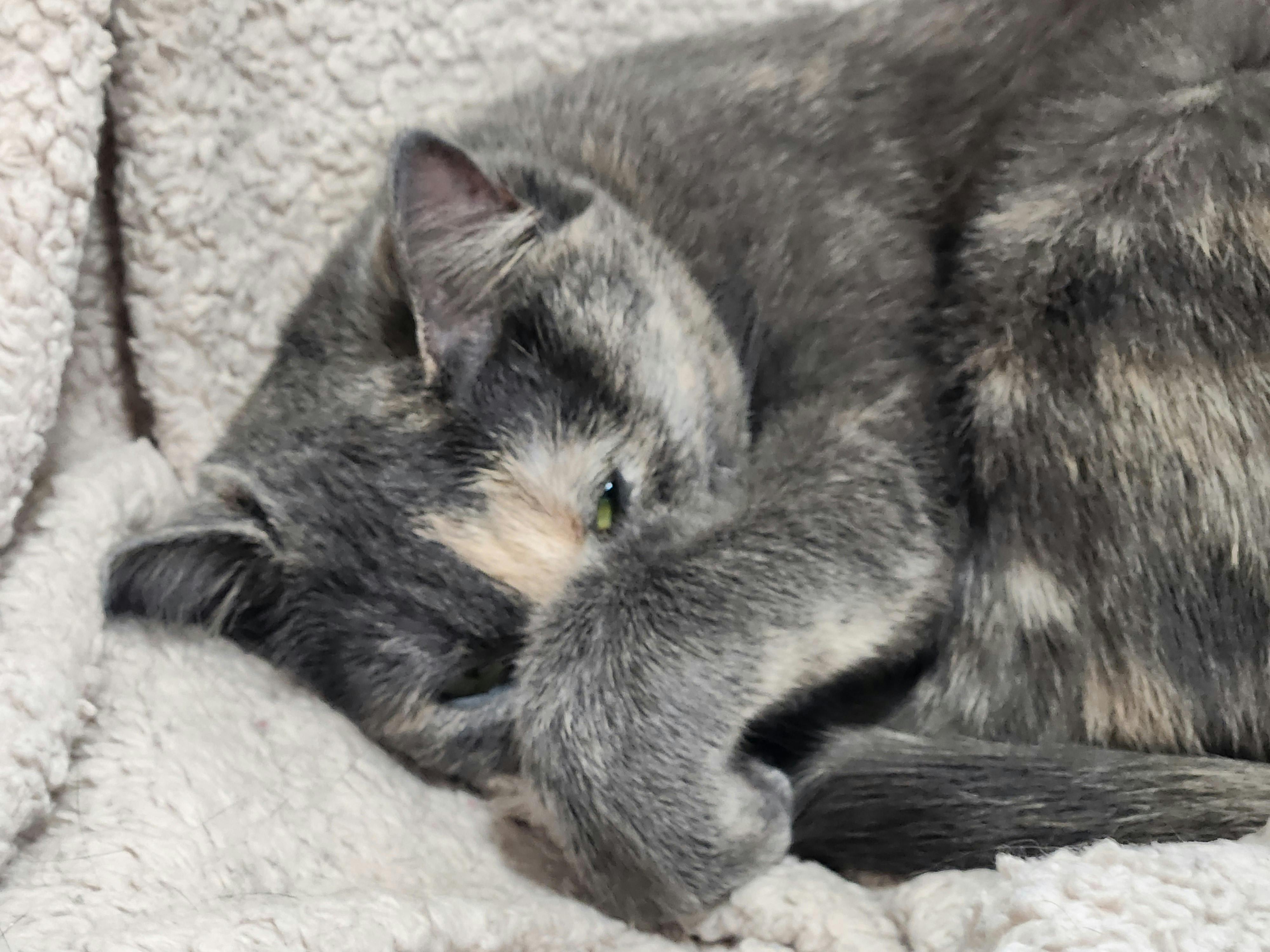 user avatar image for Eric Rosenberg