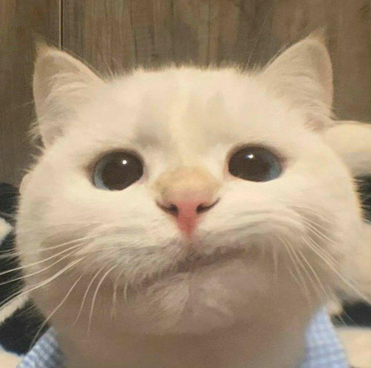 user avatar image for Matt Patlan