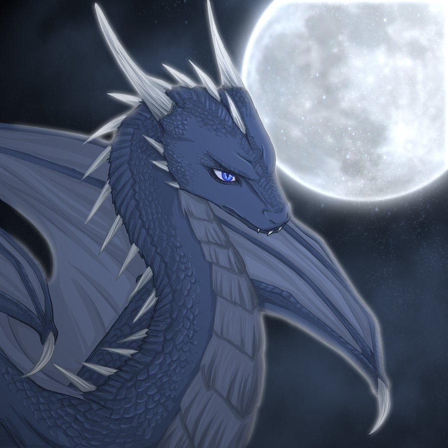 user avatar image for RaulusPaulus