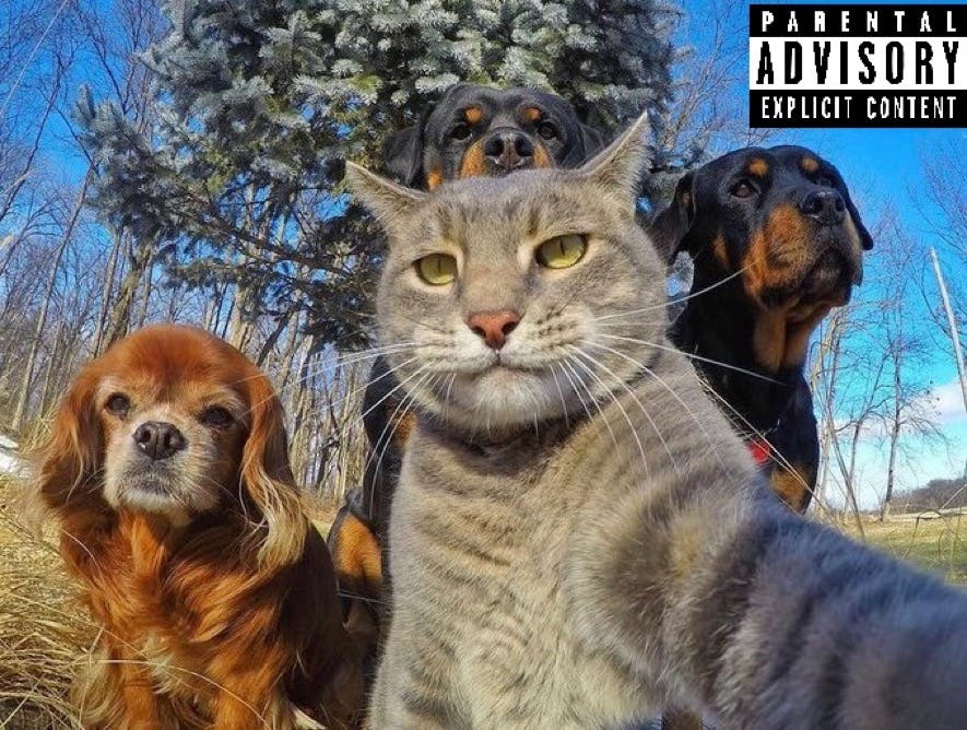user avatar image for Kells
