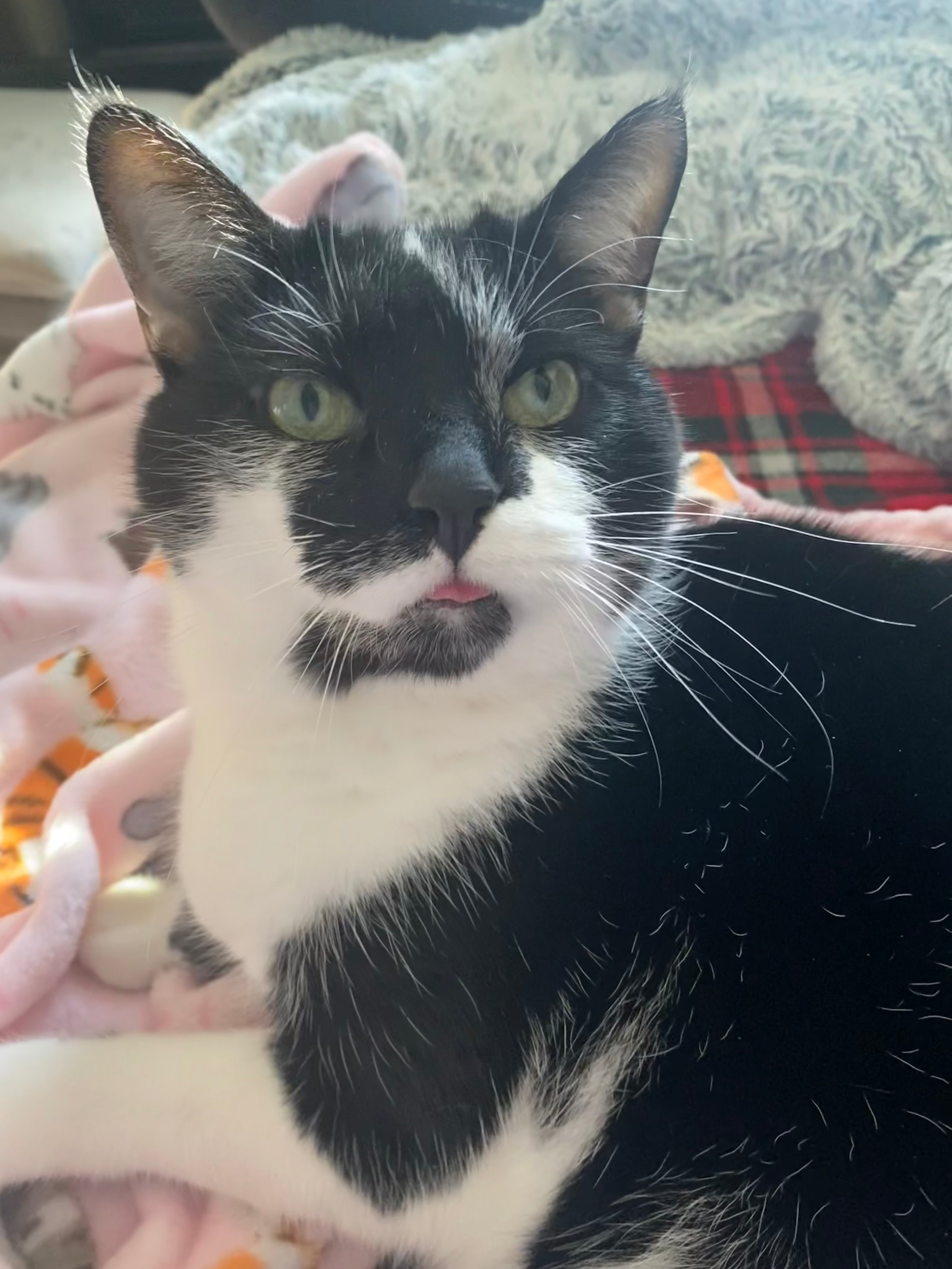 user avatar image for Jordan Knecht
