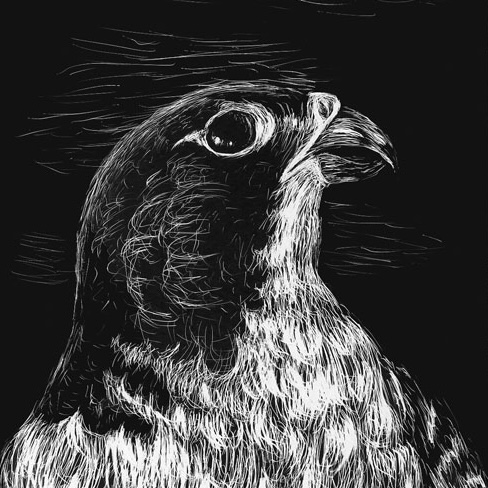 user avatar image for WaryFalcon