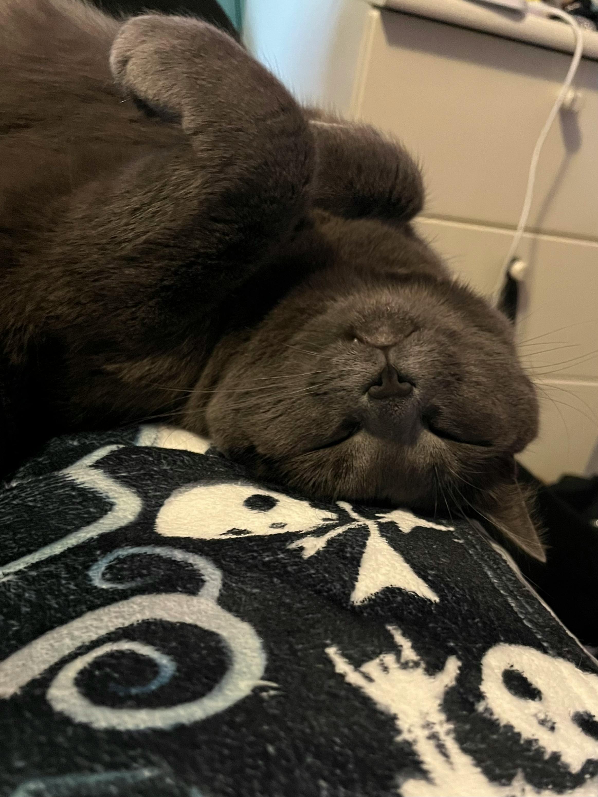 user avatar image for Claudia