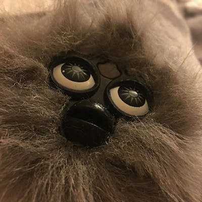 user avatar image for bork