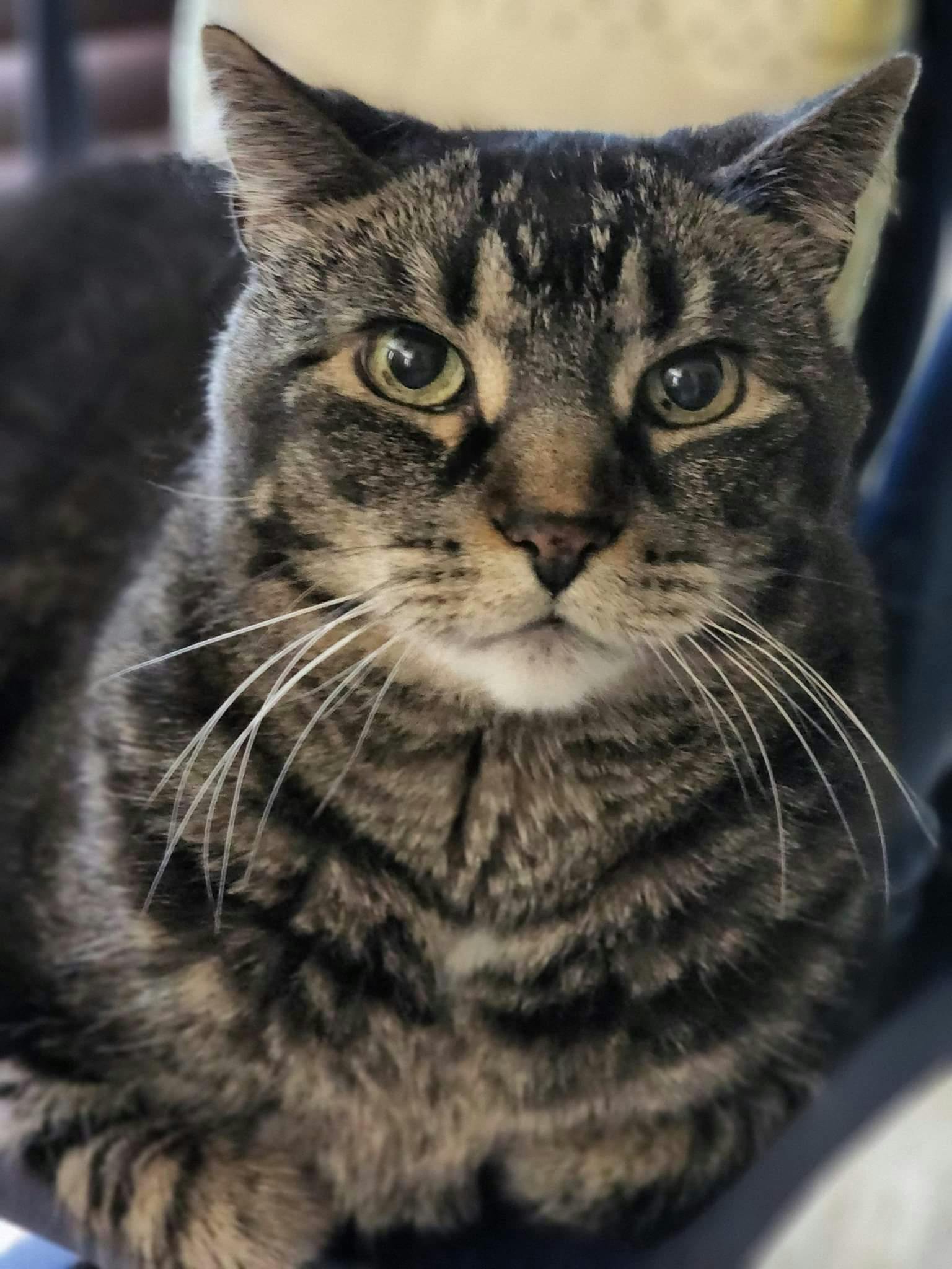 user avatar image for Explorer0429