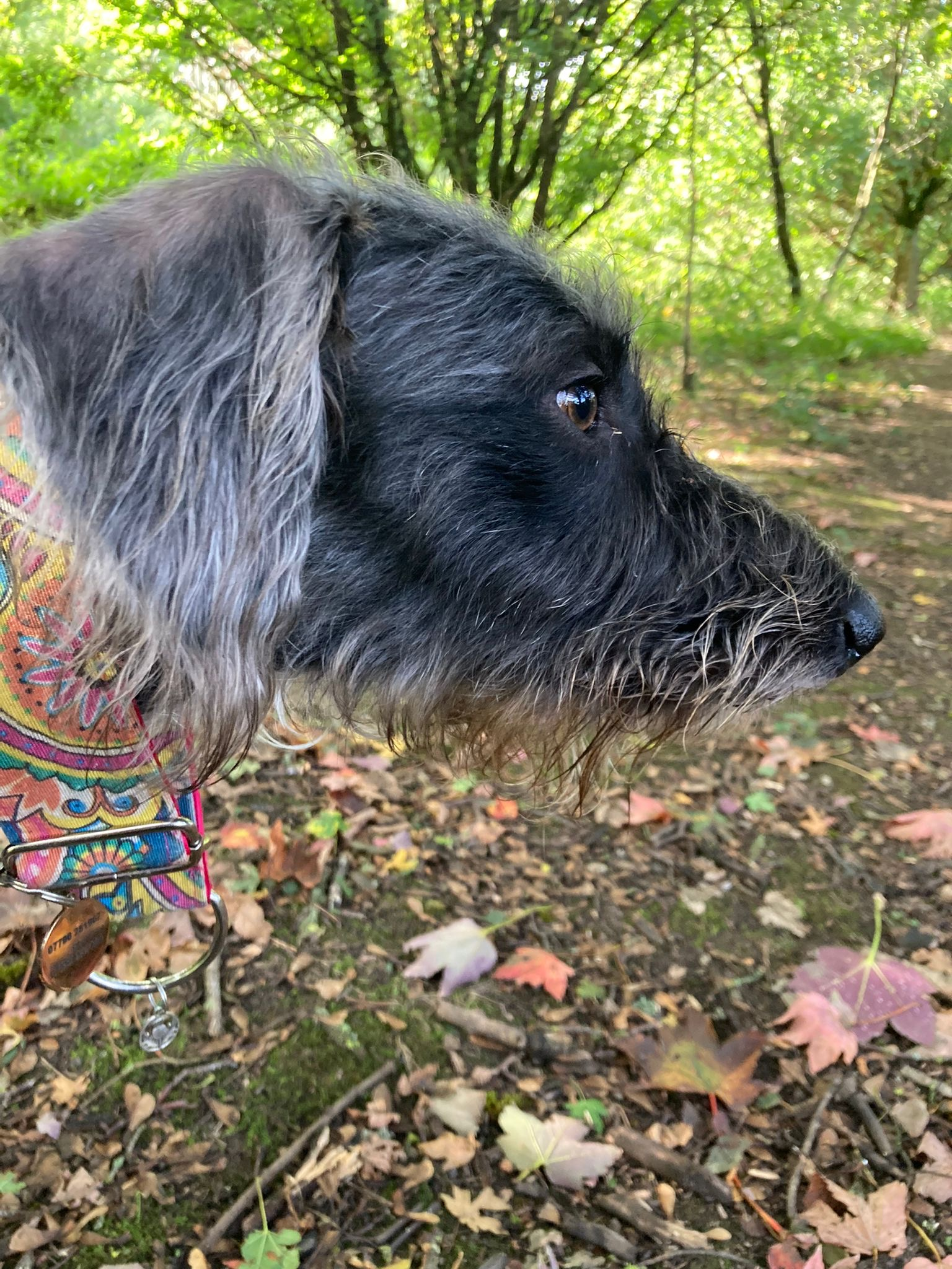 user avatar image for David Packham 