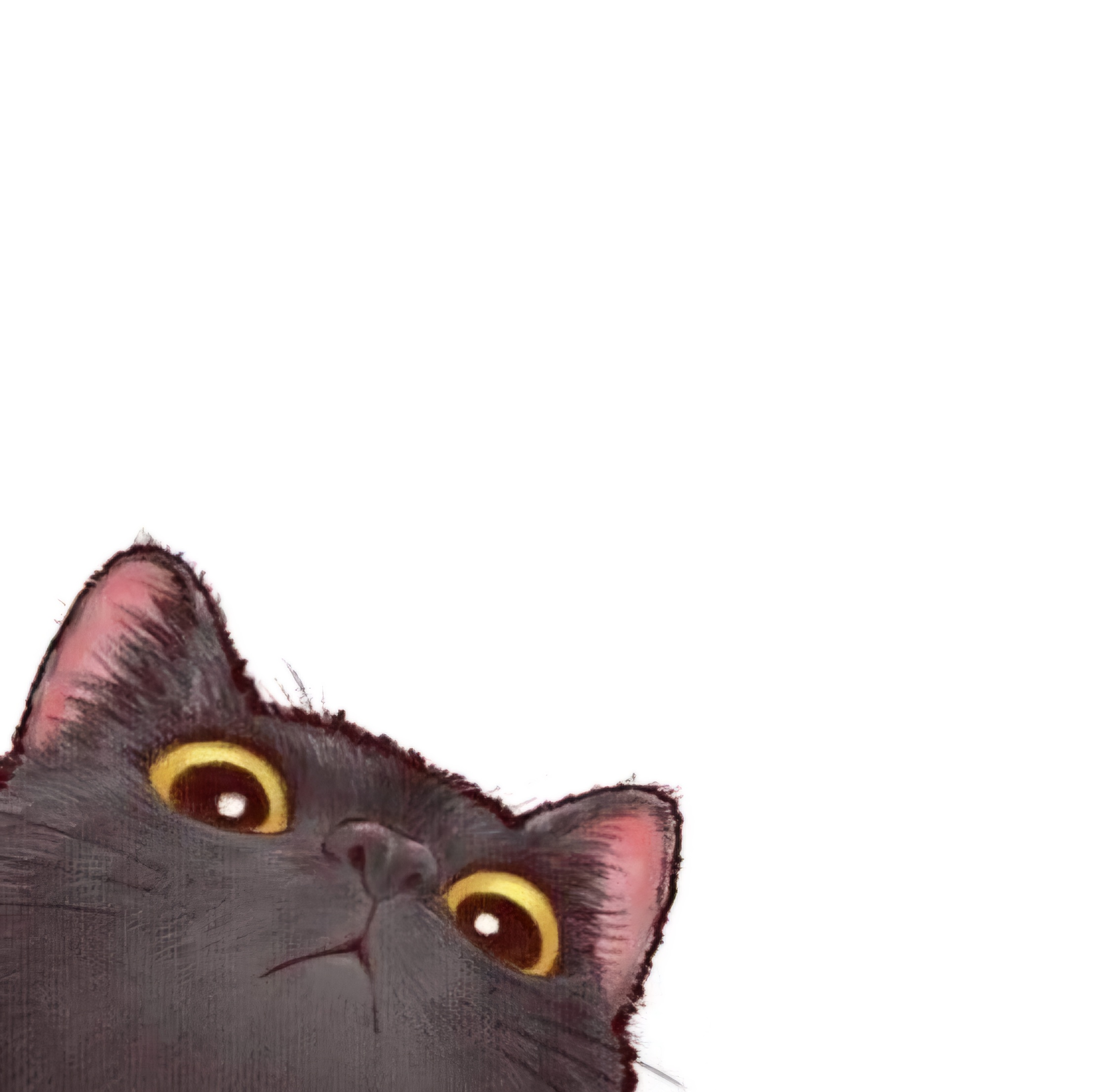 user avatar image for Kitsumara