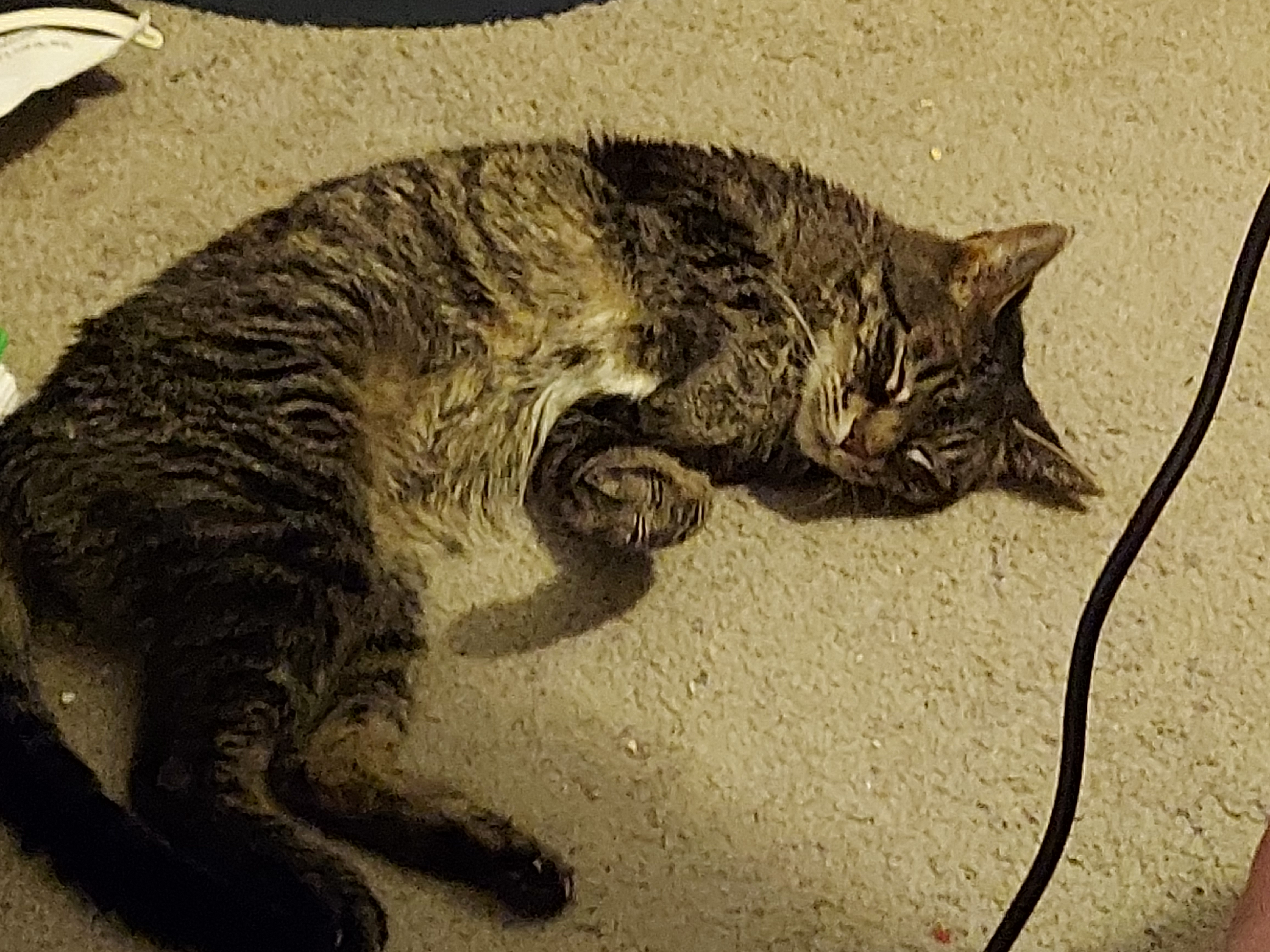 user avatar image for Nedlex 