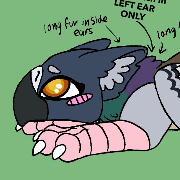 Street Griff