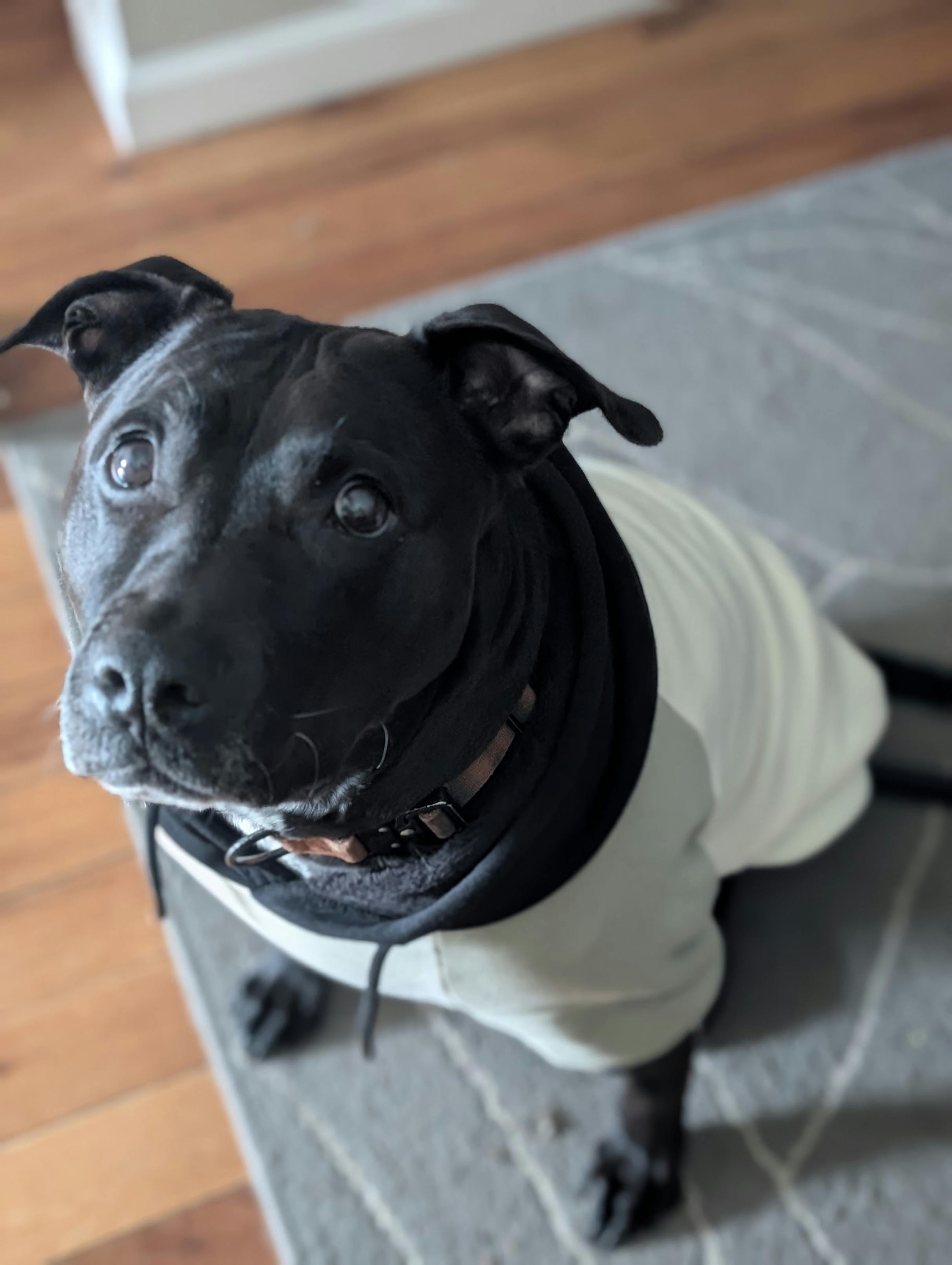 user avatar image for Jake