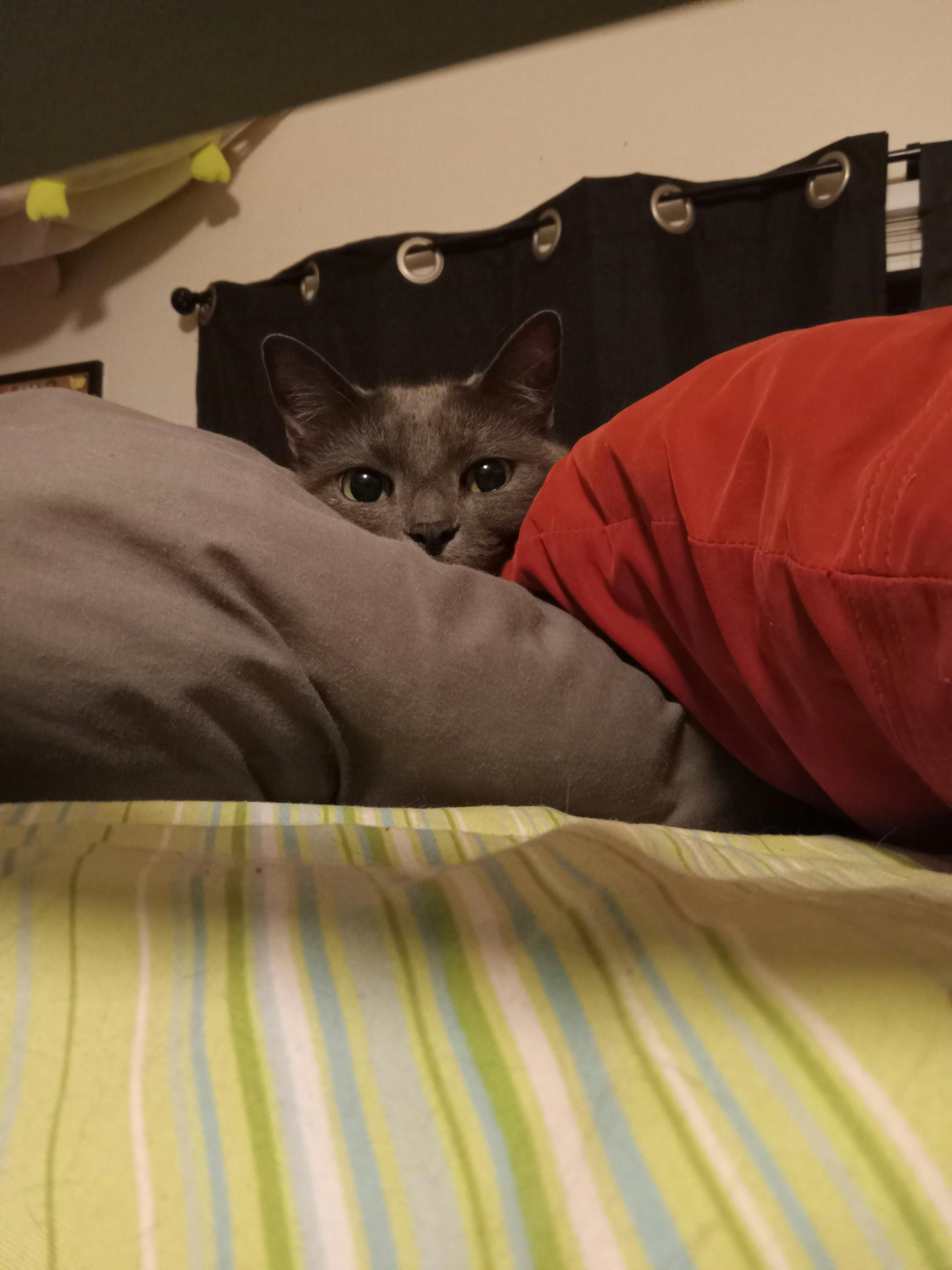 user avatar image for Zydeco 