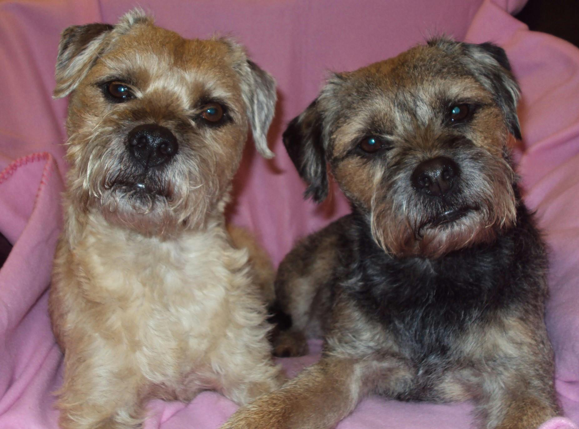 user avatar image for StevieDee55