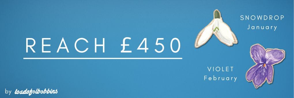 reach £450 snowdrop for January and violet for February mini wooden pins unlock