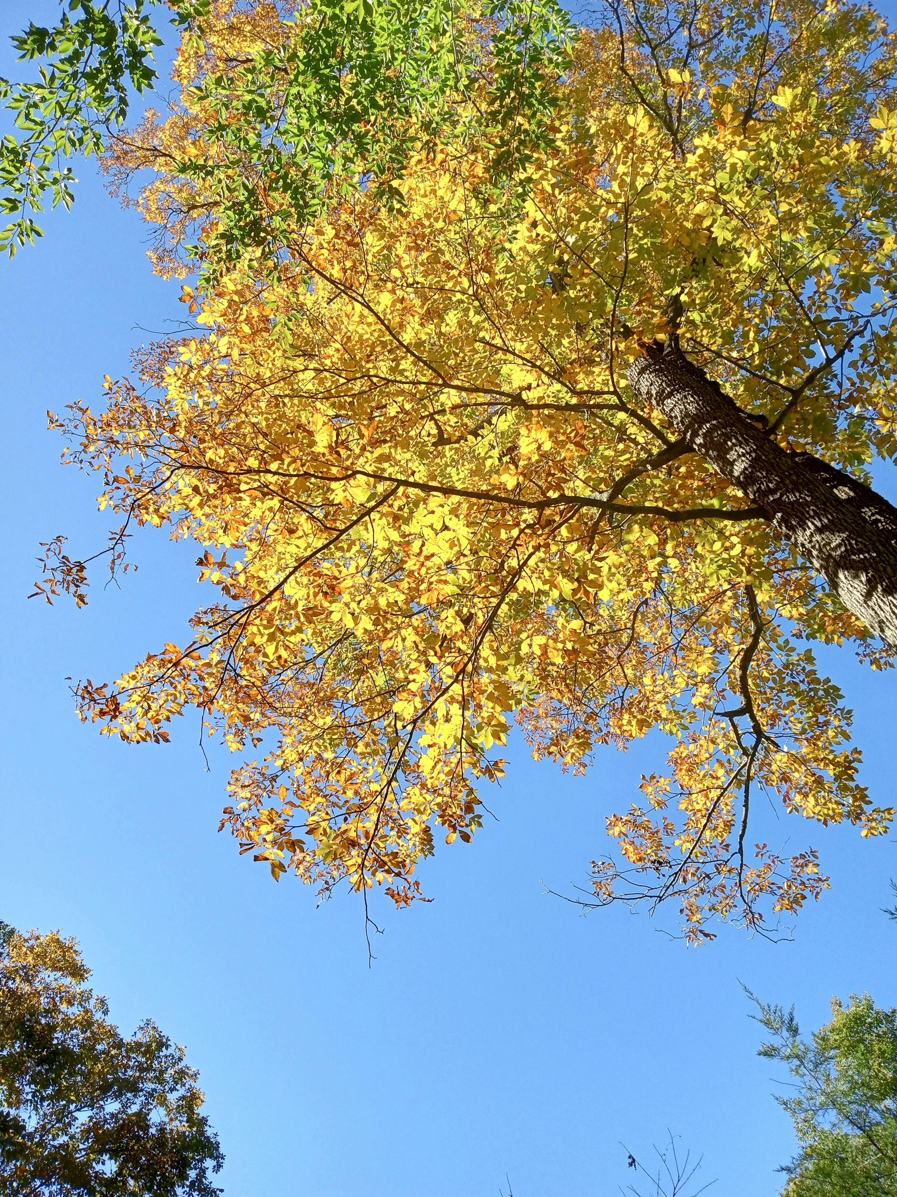 user avatar image for Abigail Keller