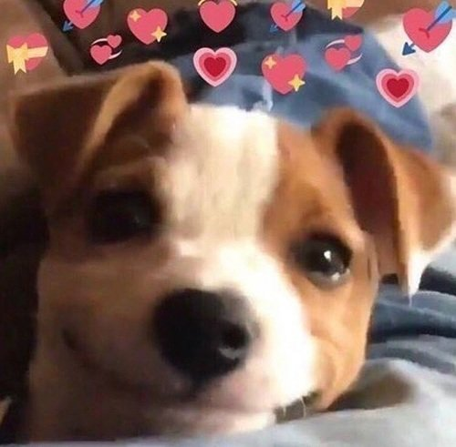 user avatar image for Hippie83