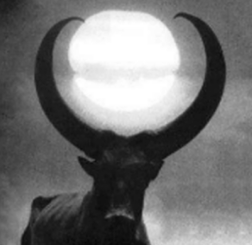 user avatar image for Solace
