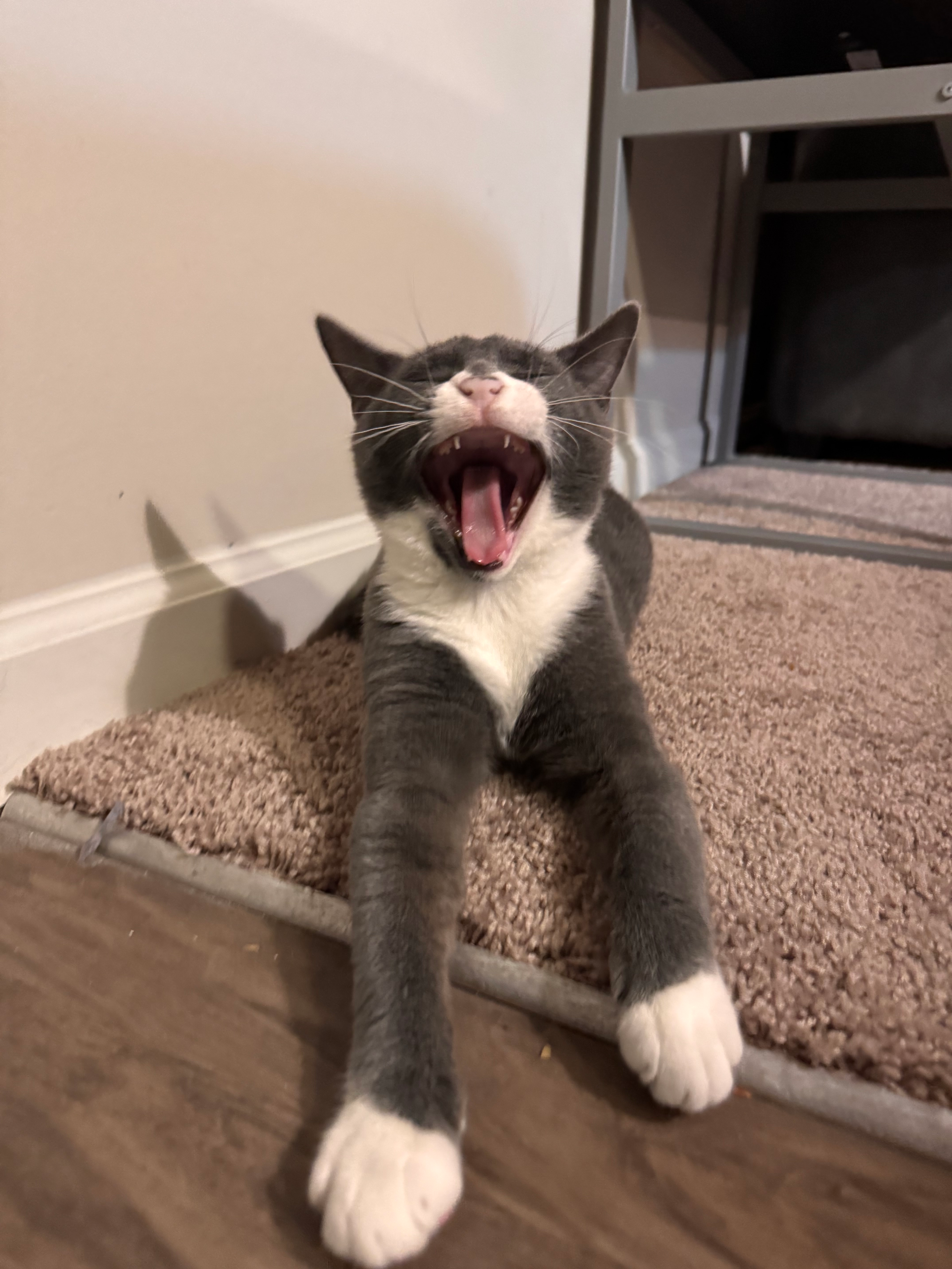 user avatar image for Riley Springer