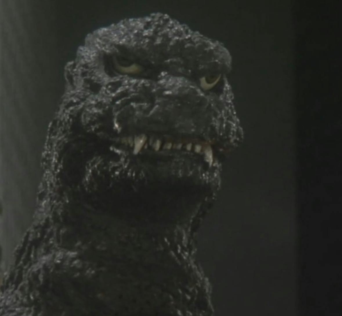 user avatar image for Conner Leo