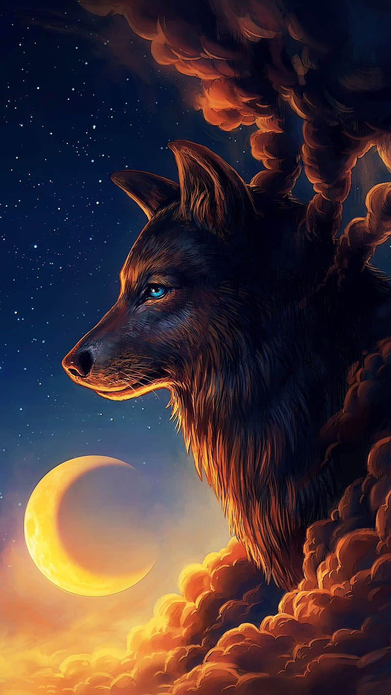 user avatar image for D.Wolf