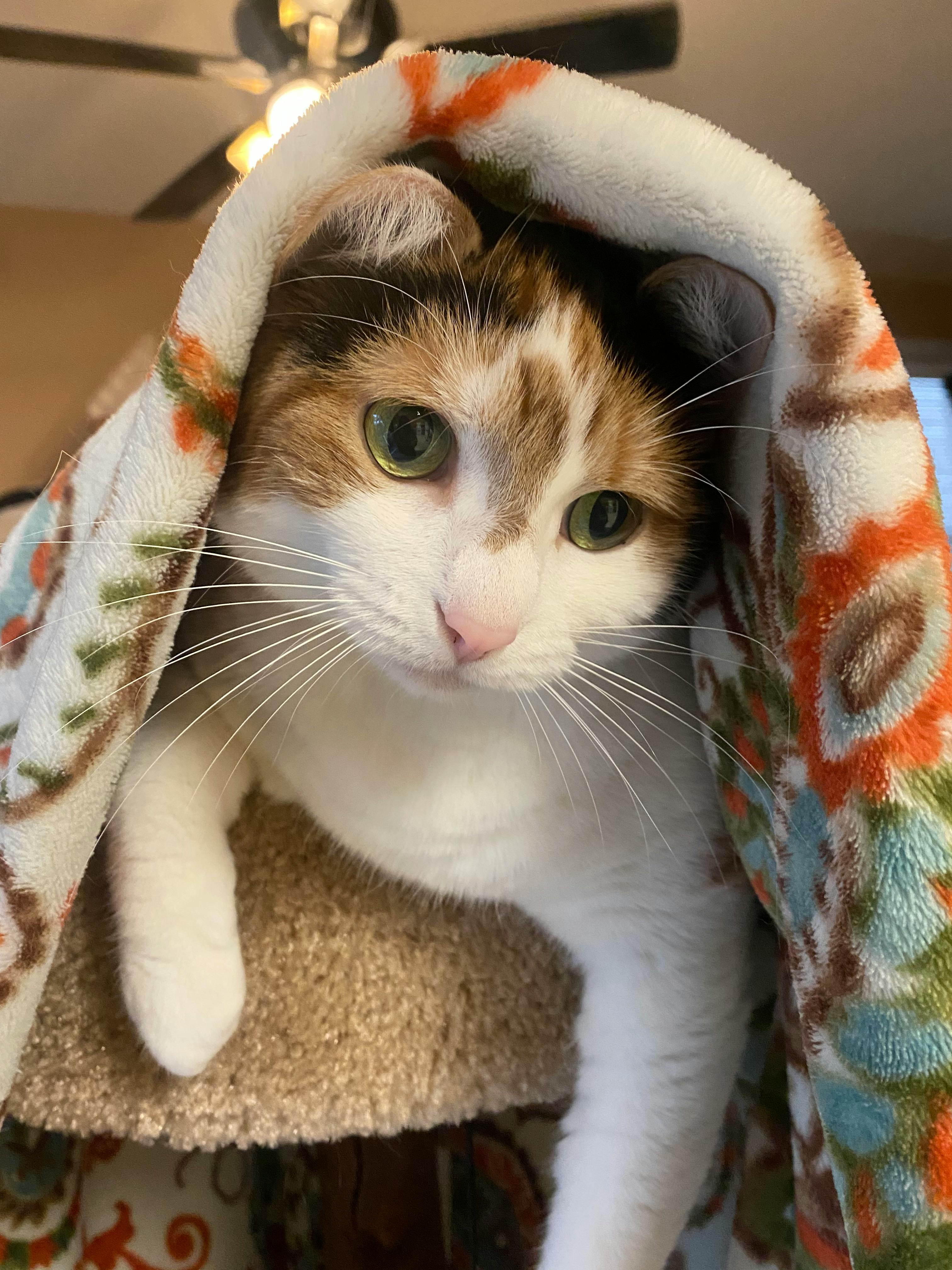 user avatar image for Susan Clemens