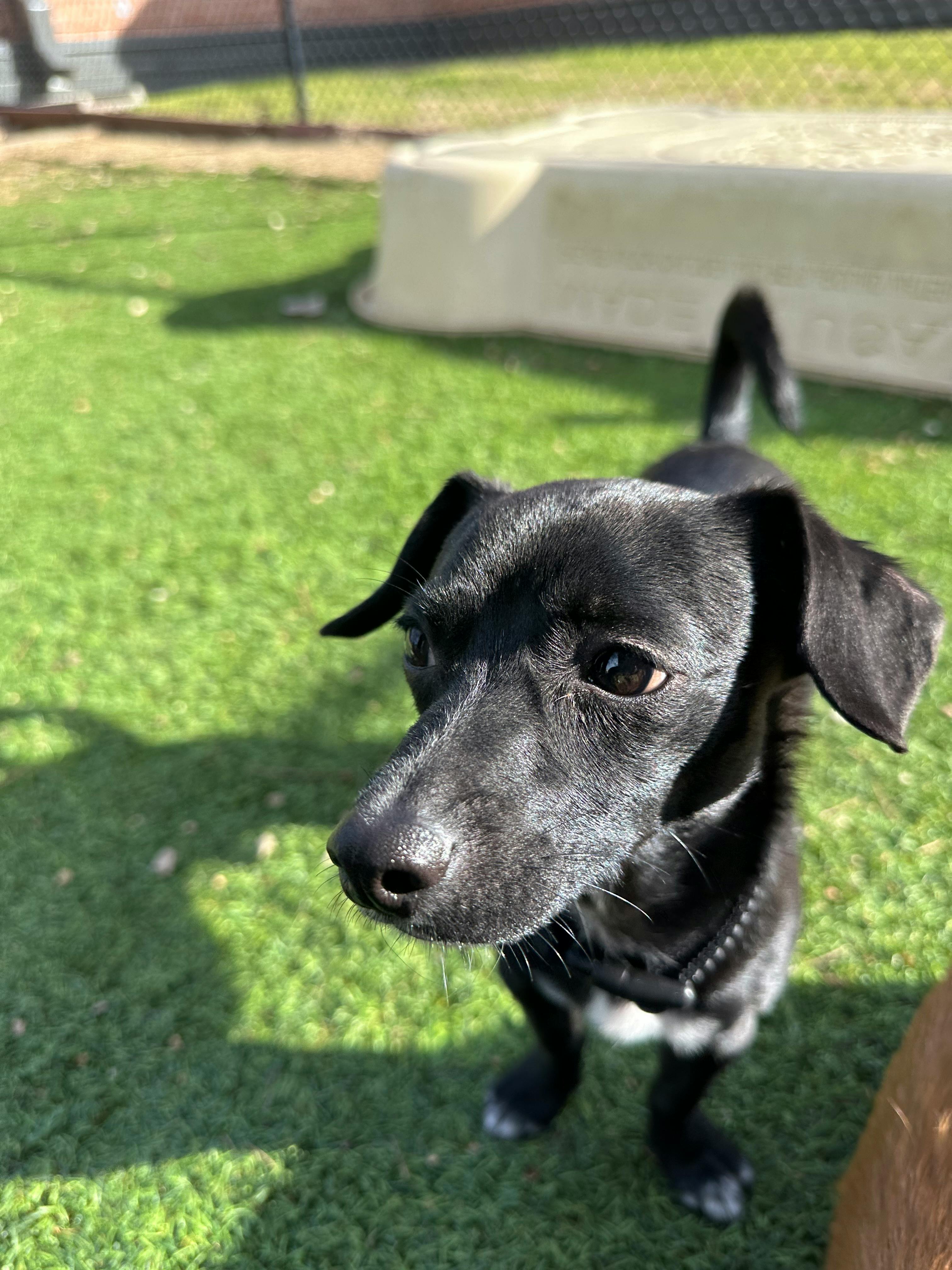 user avatar image for Kyleigh 