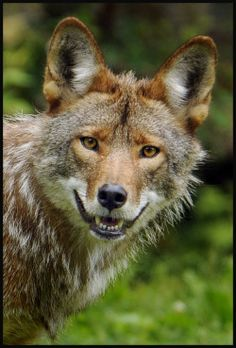 user avatar image for Rob Bickford