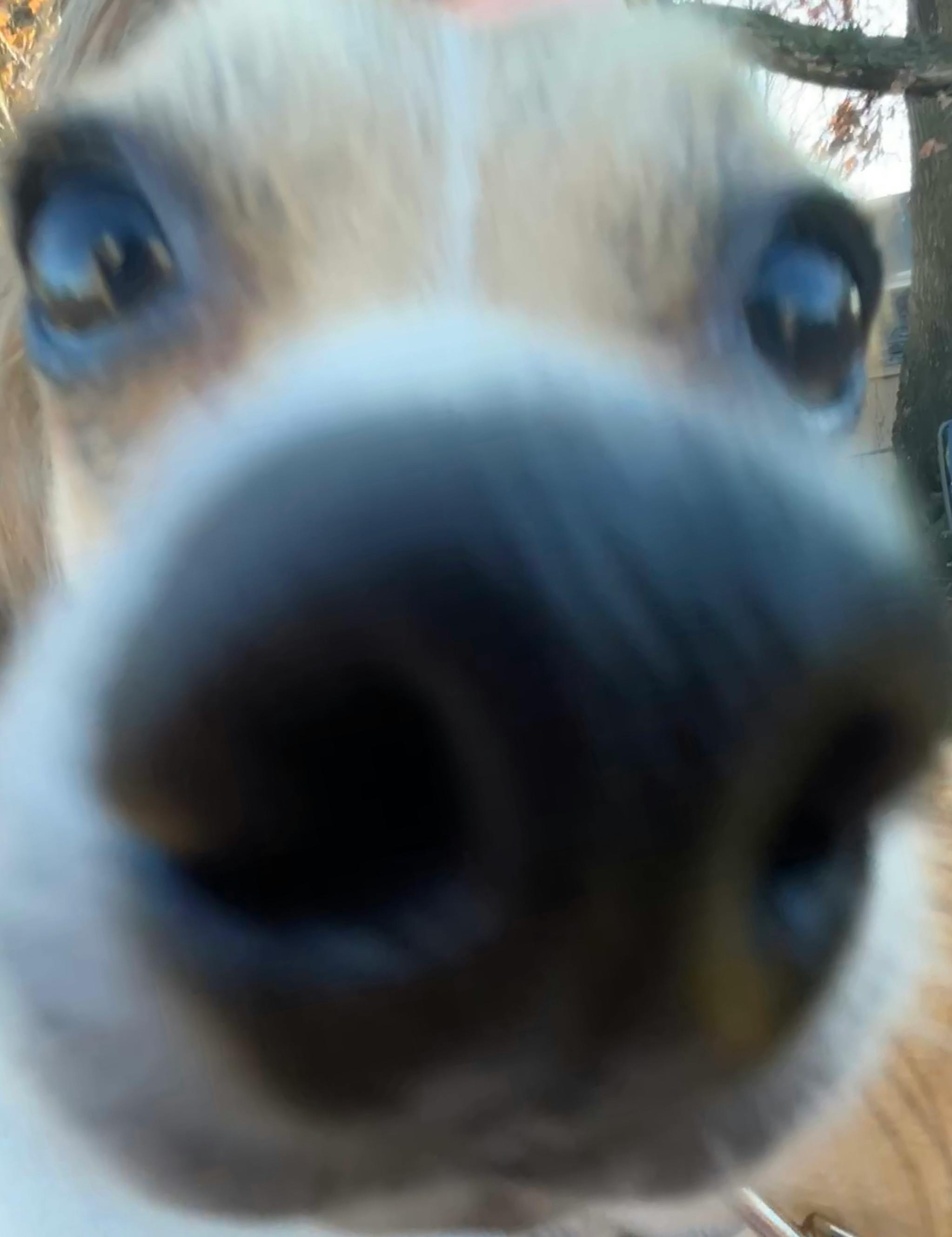 user avatar image for GaMermaid