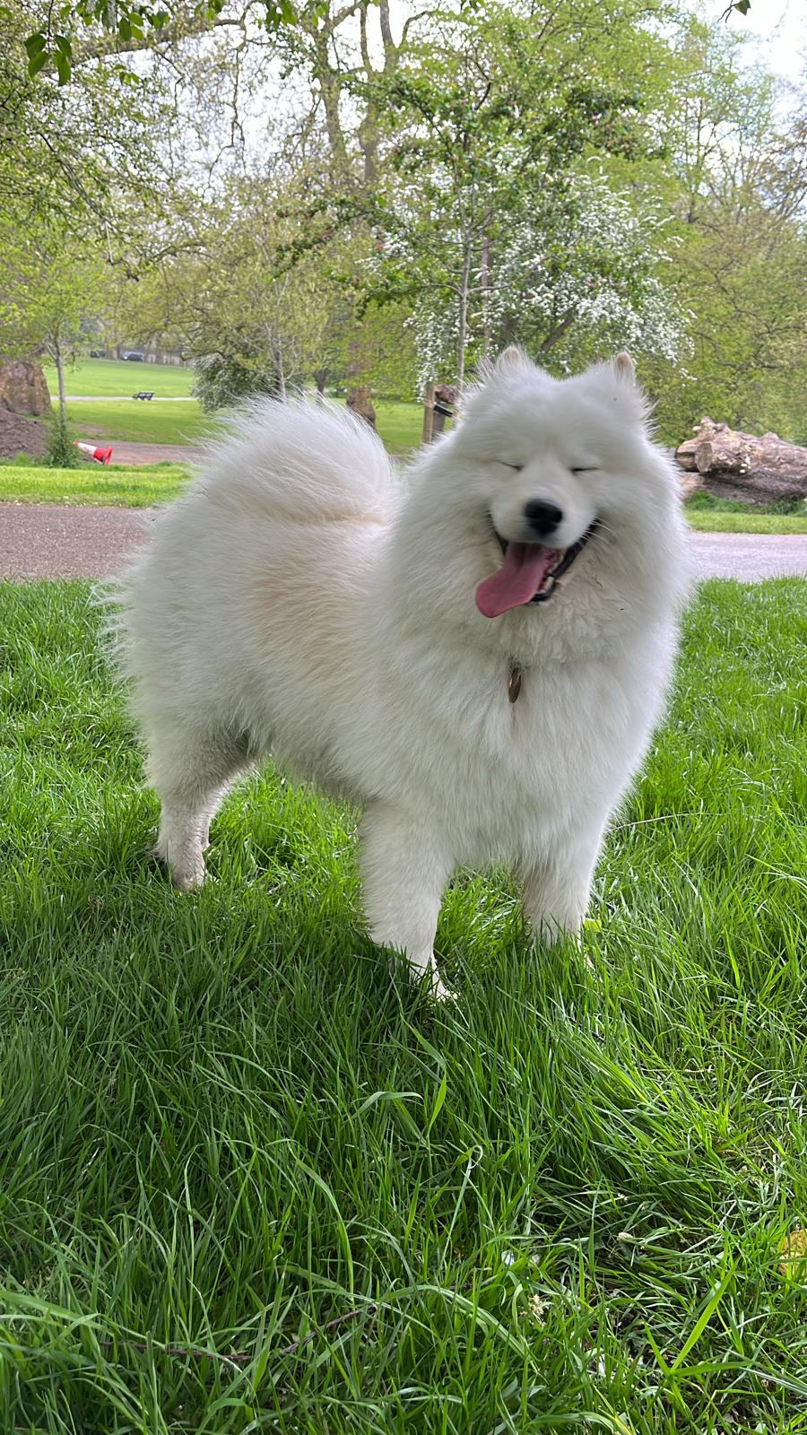 user avatar image for Kika