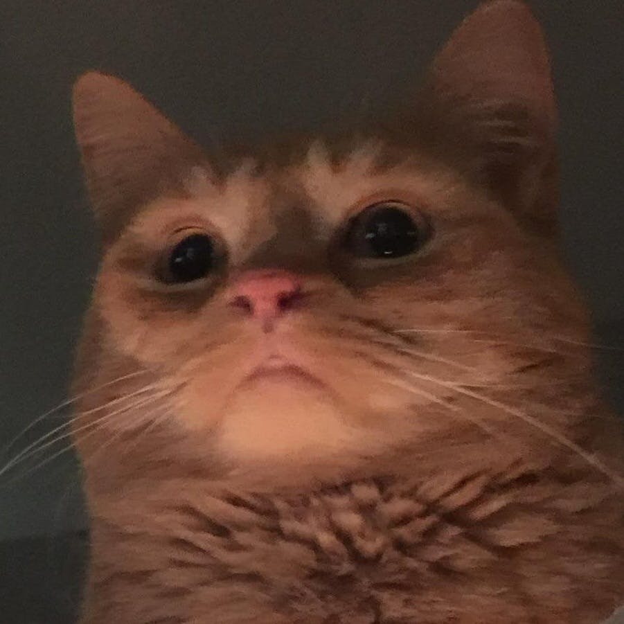 user avatar image for Rummy