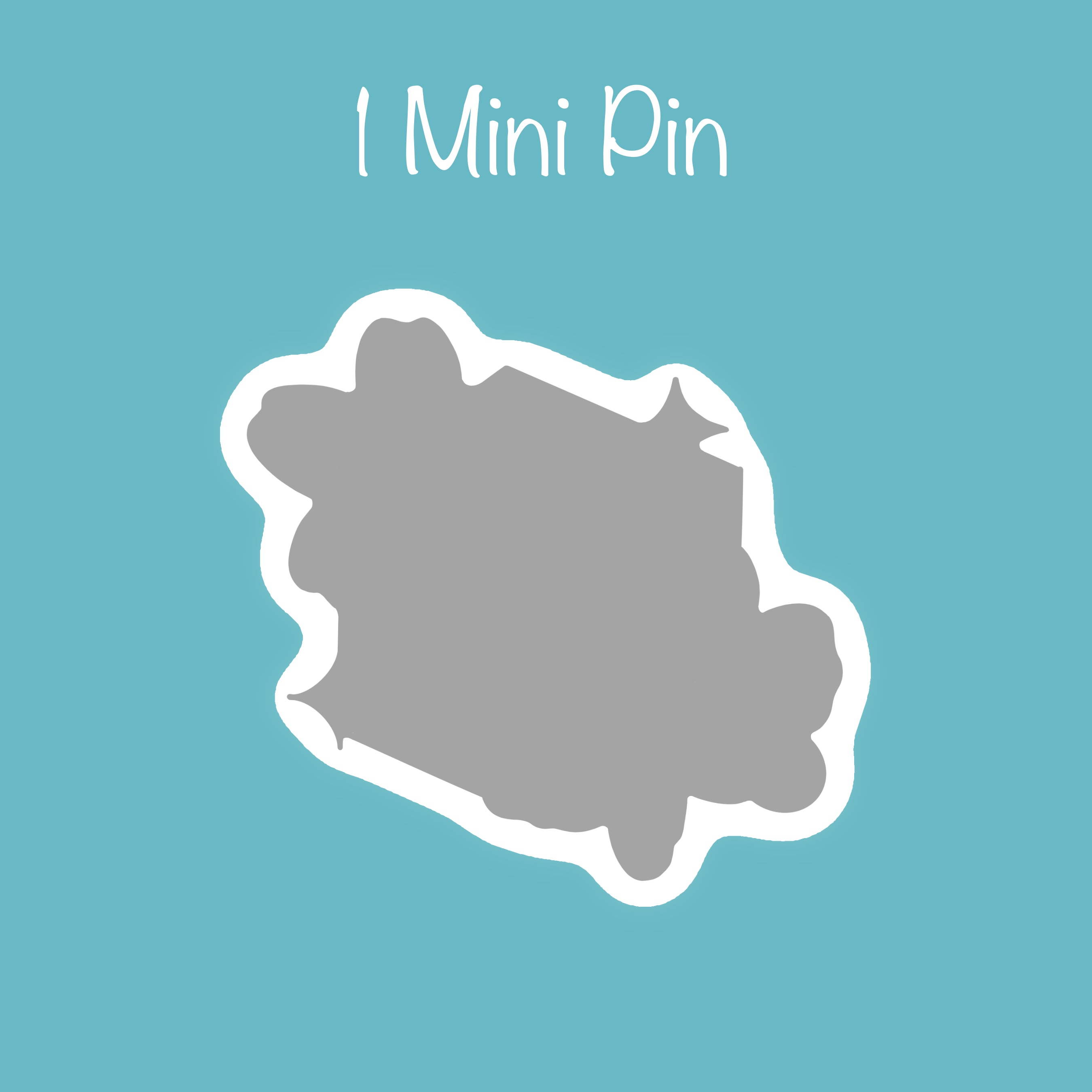 1 Mini Pin