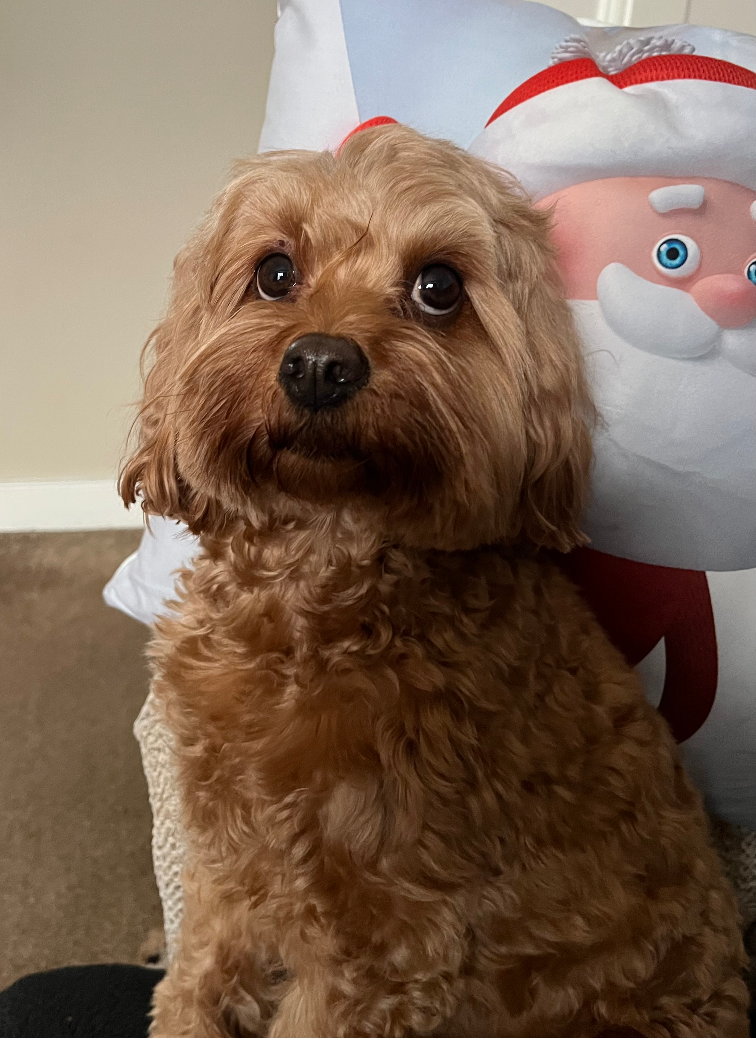 user avatar image for Dean Le Gassicke