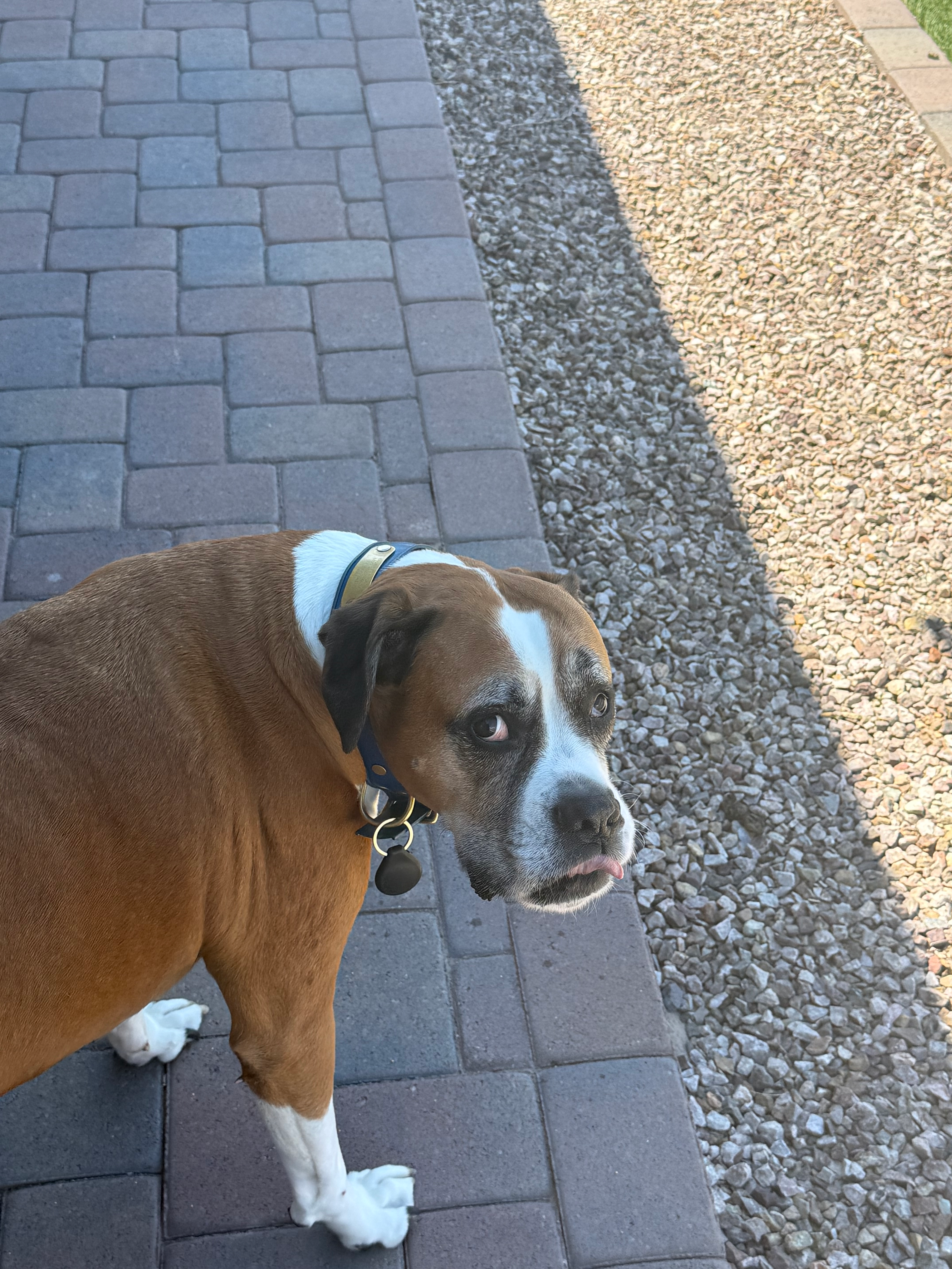 user avatar image for Richard Roscoe