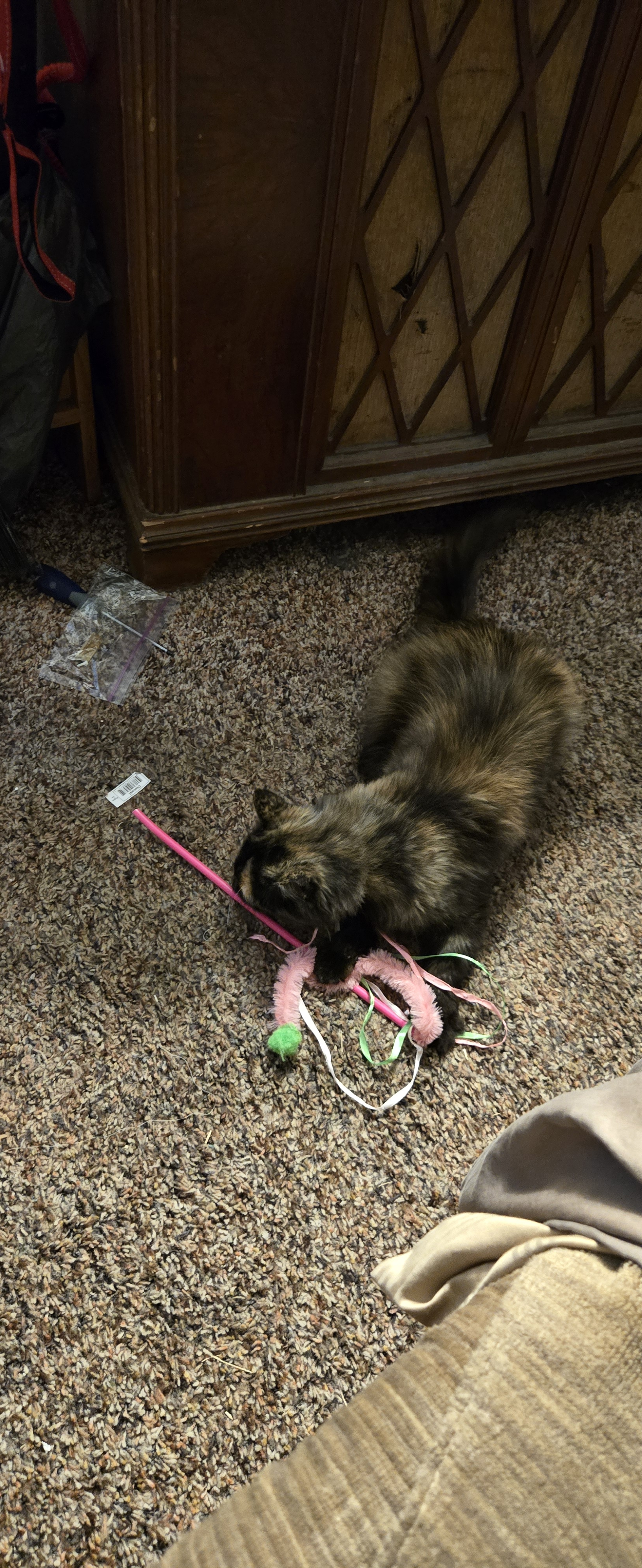 user avatar image for SkyDragono