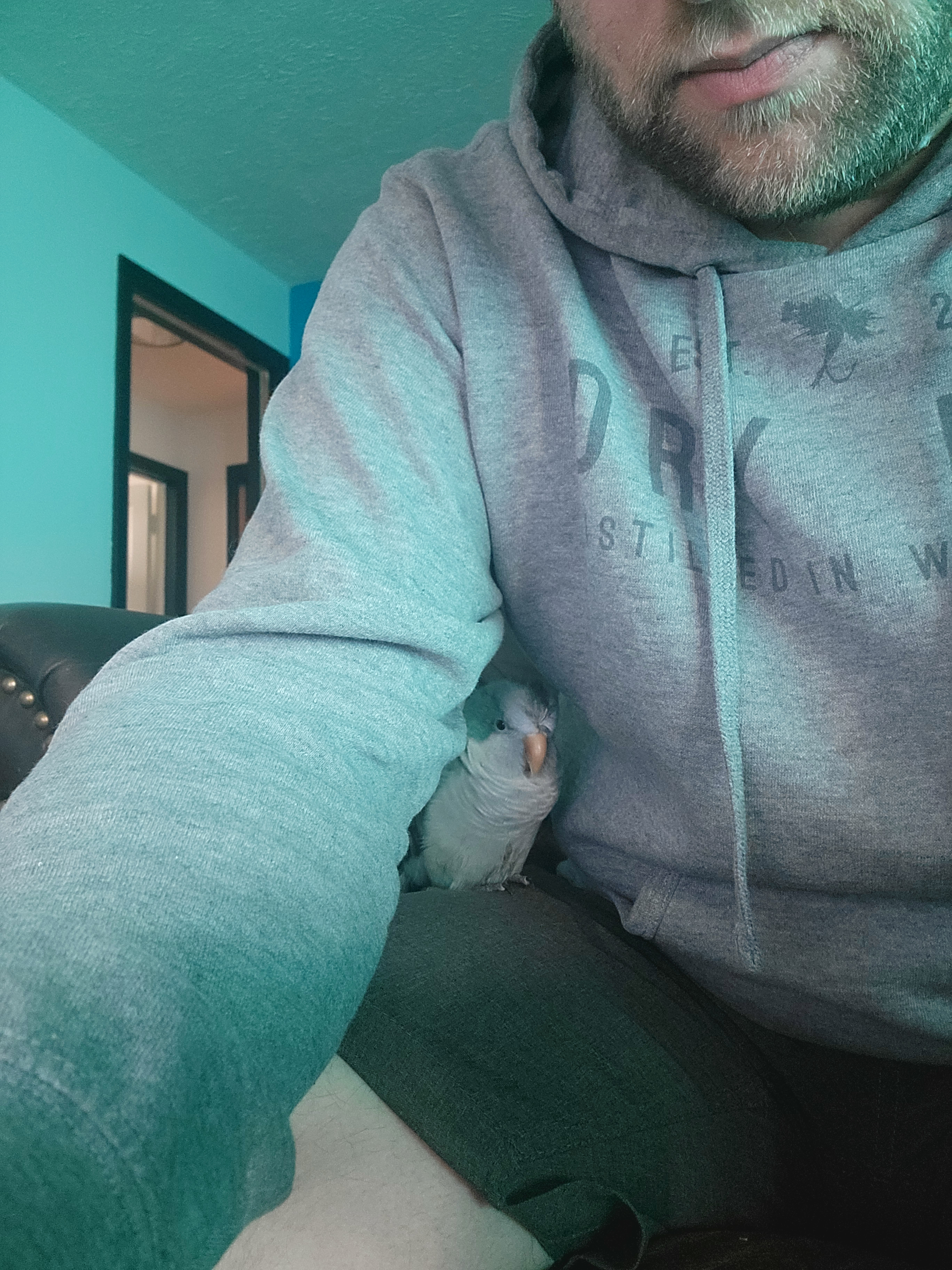 user avatar image for Alex