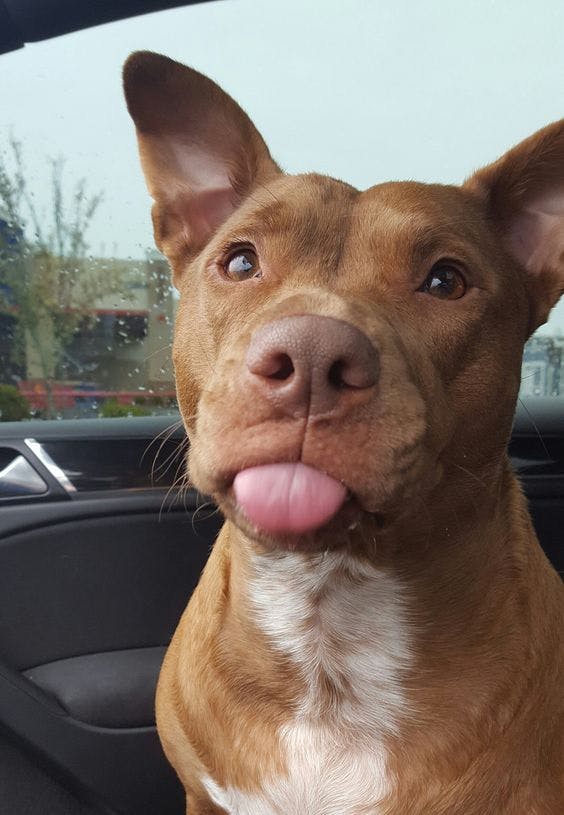 user avatar image for Eric Benis 