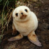user avatar image for Unimportant