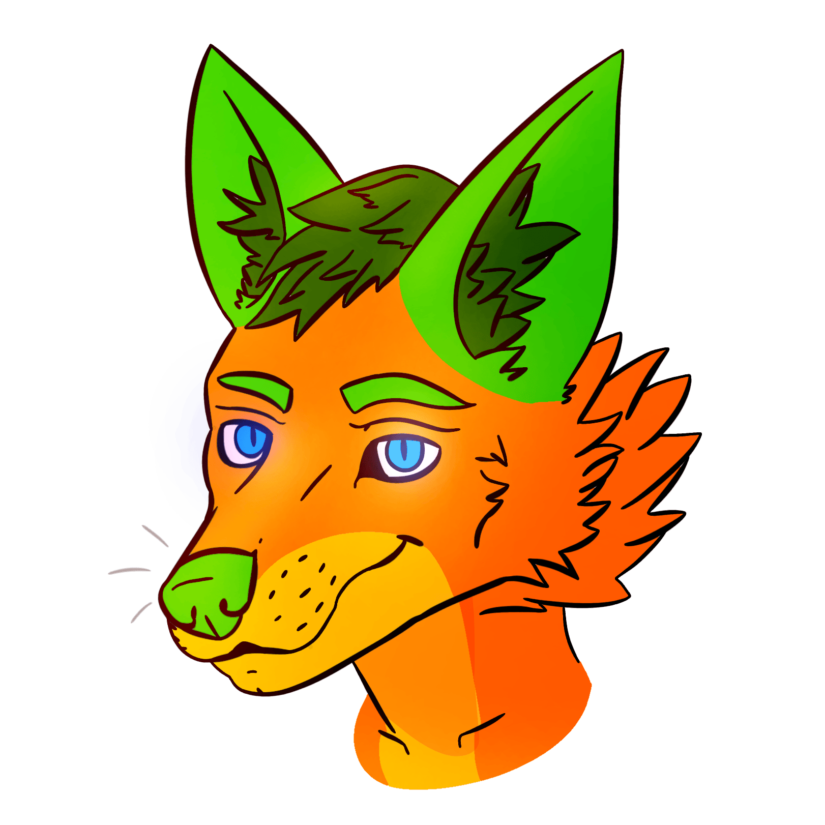 user avatar image for Fin Berry