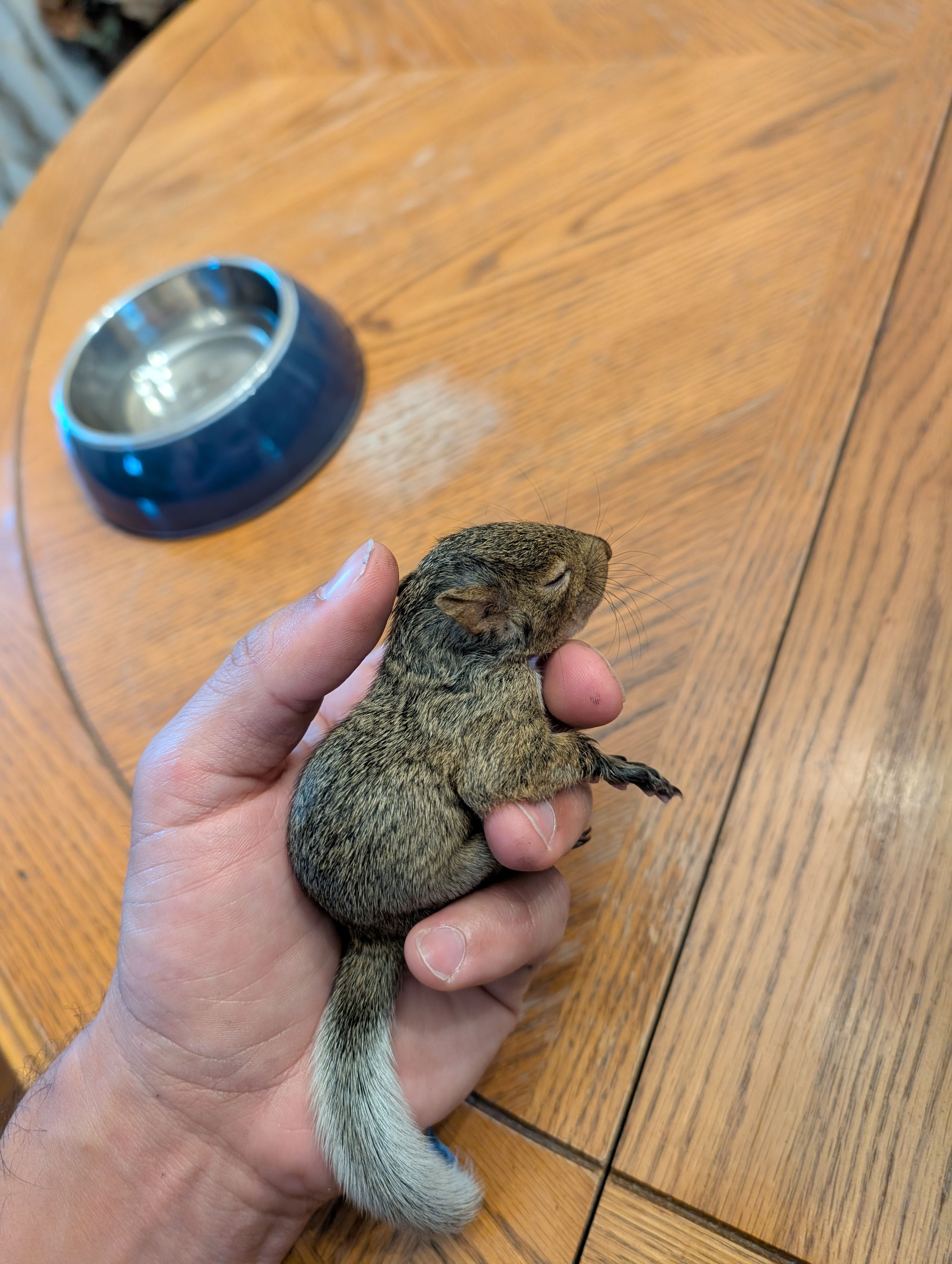 user avatar image for Chad p