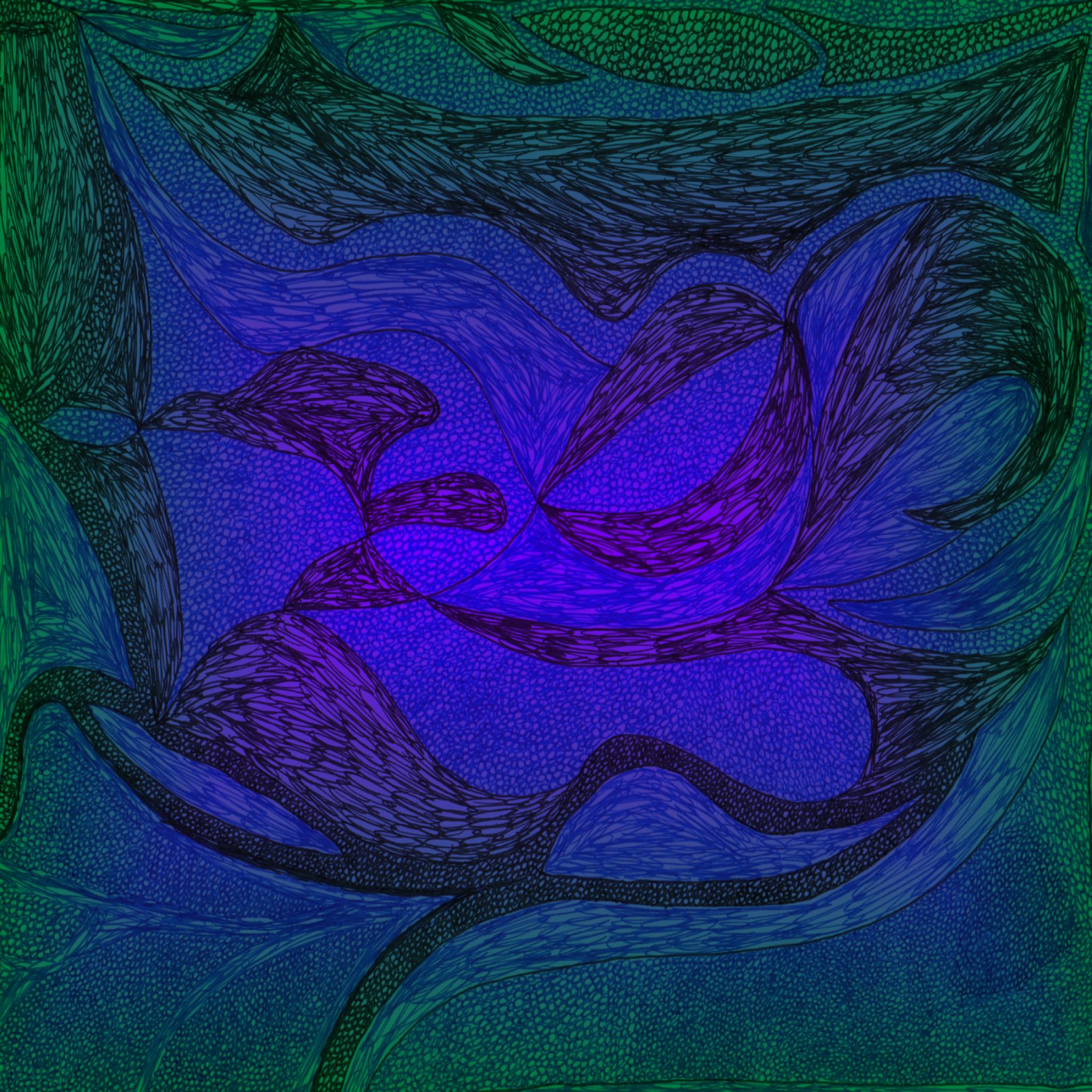 user avatar image for Steven C