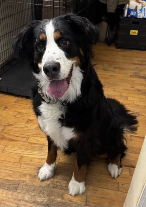 user avatar image for David Garbowski