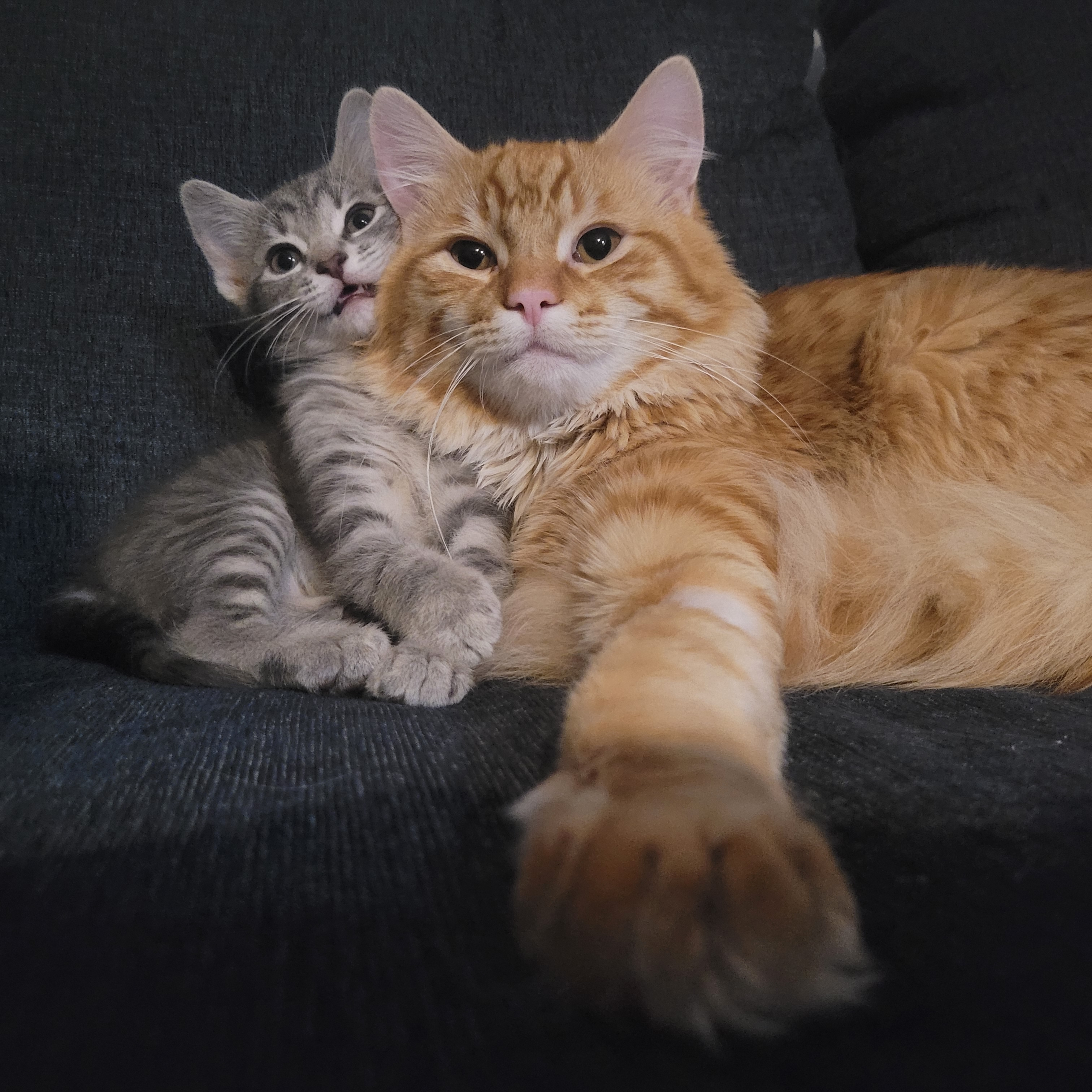 user avatar image for Kari St. Pierre