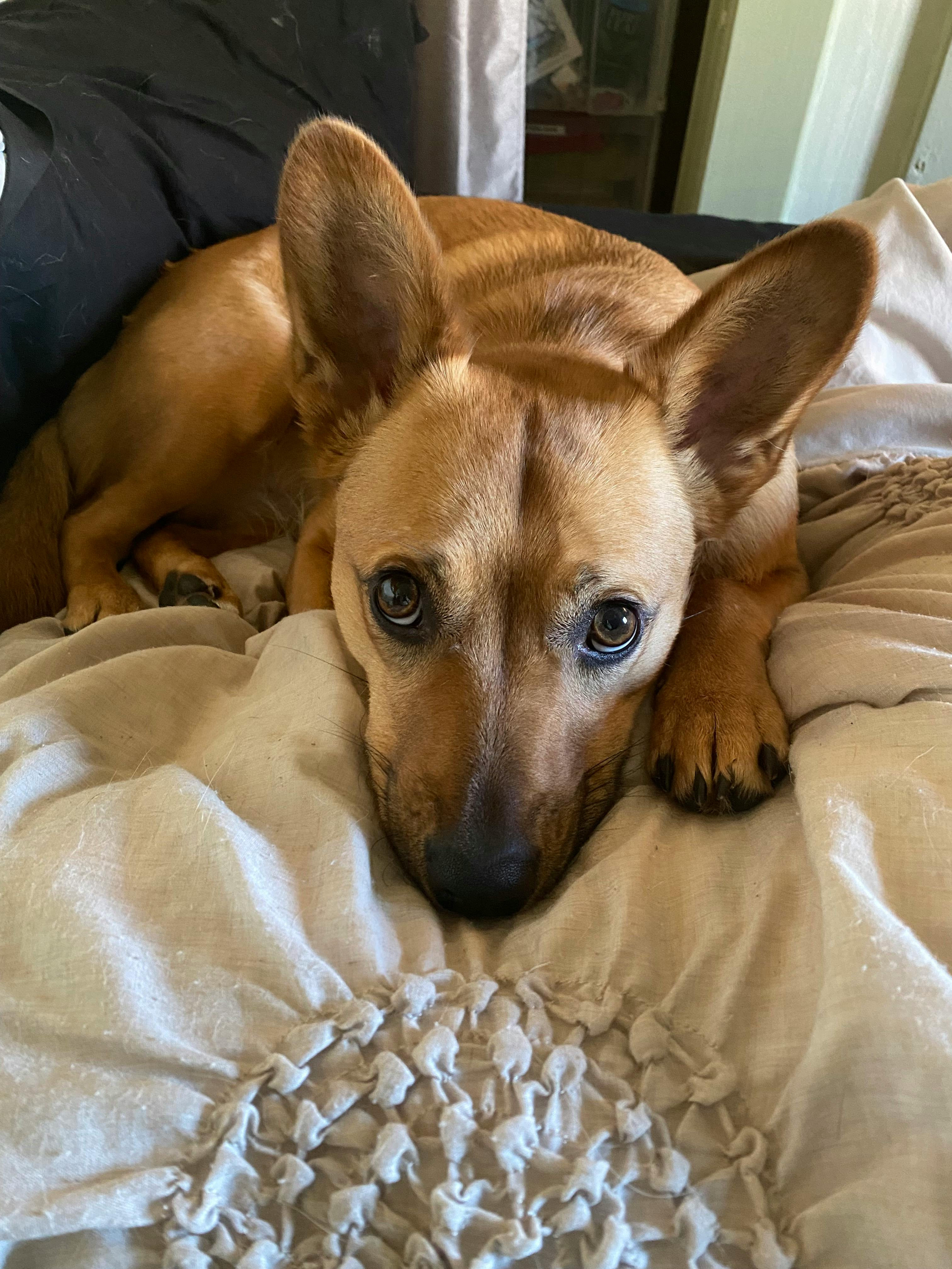 user avatar image for Jason Collins