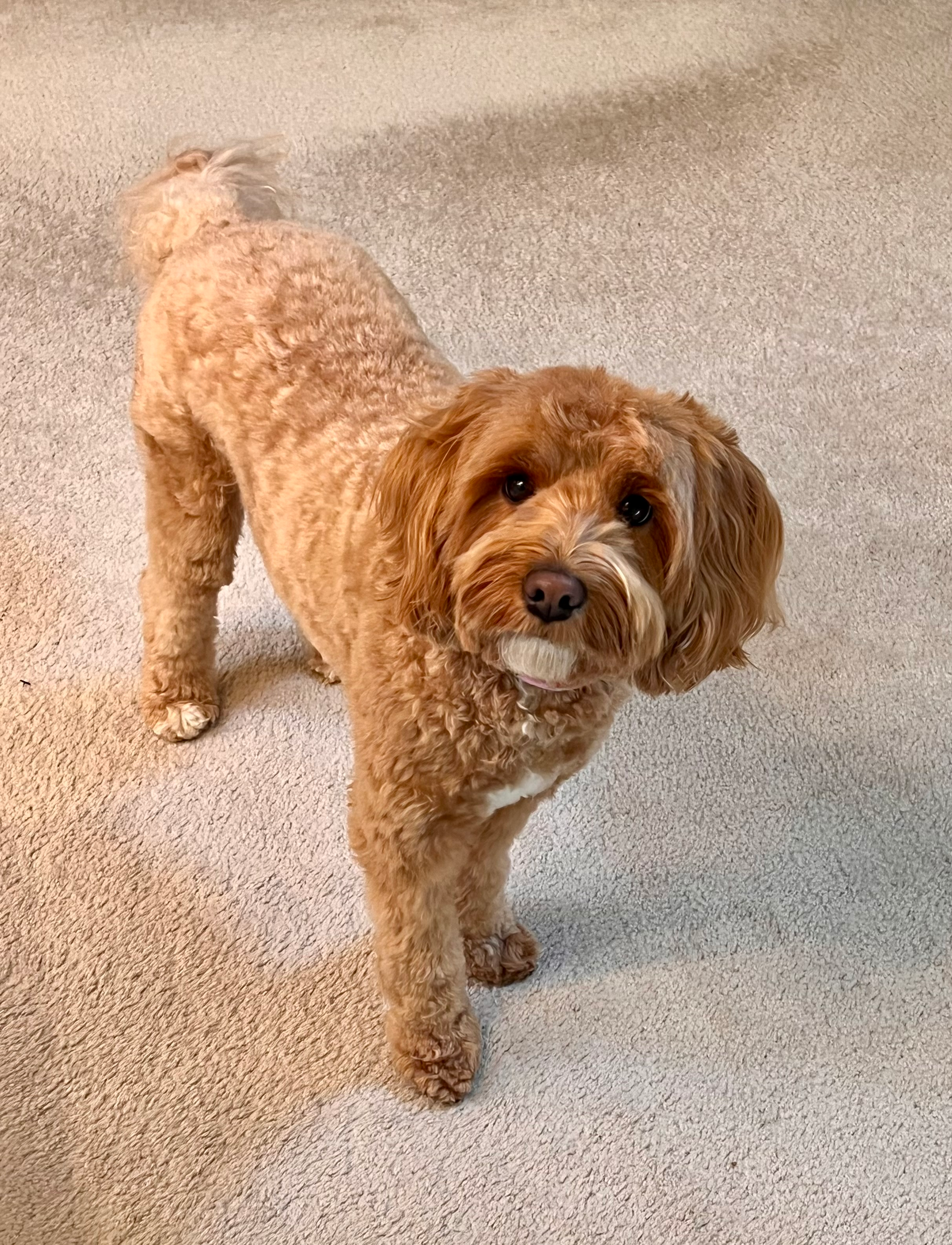 user avatar image for Melody Stroth