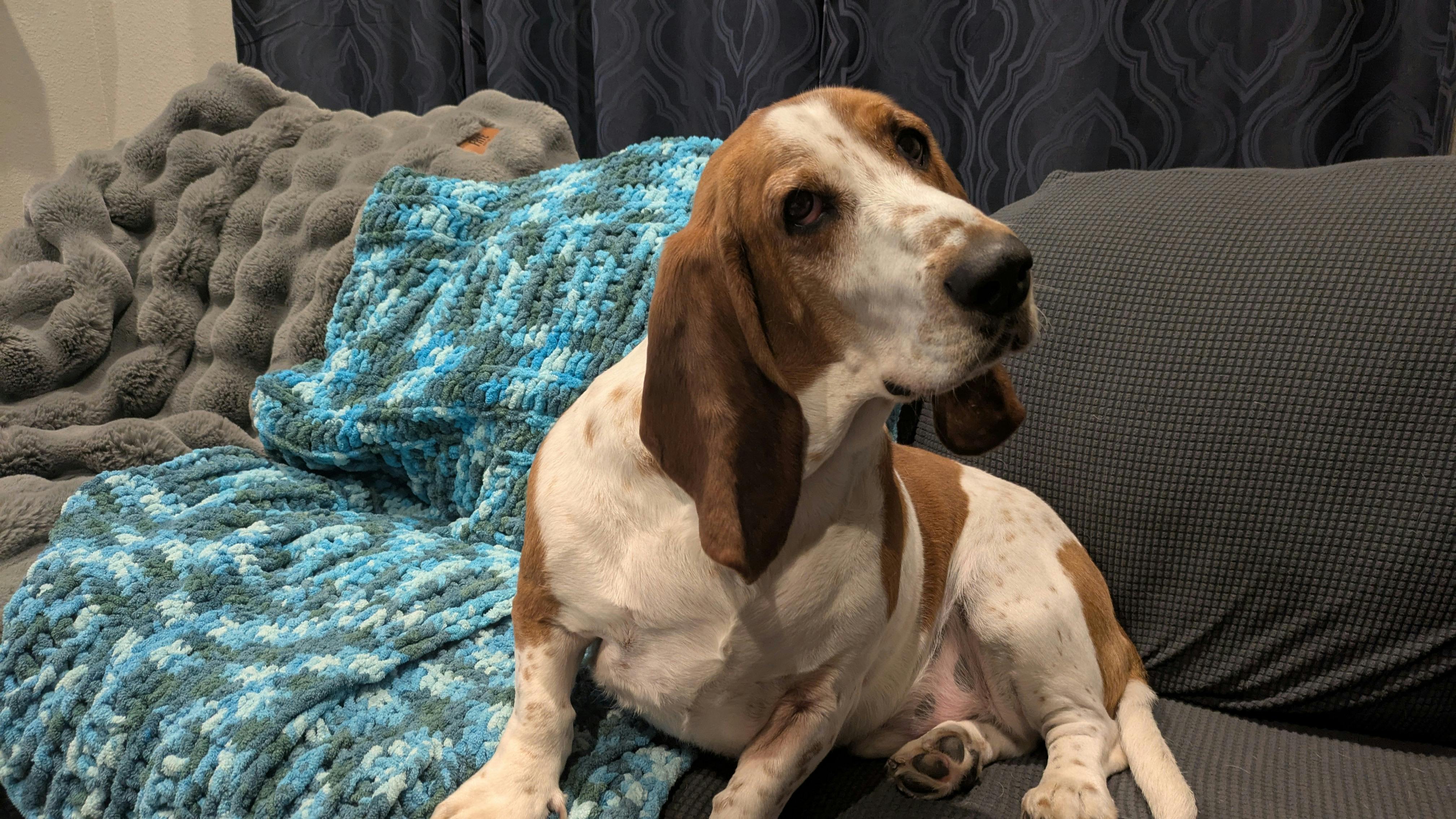 user avatar image for Matt Ehrichs