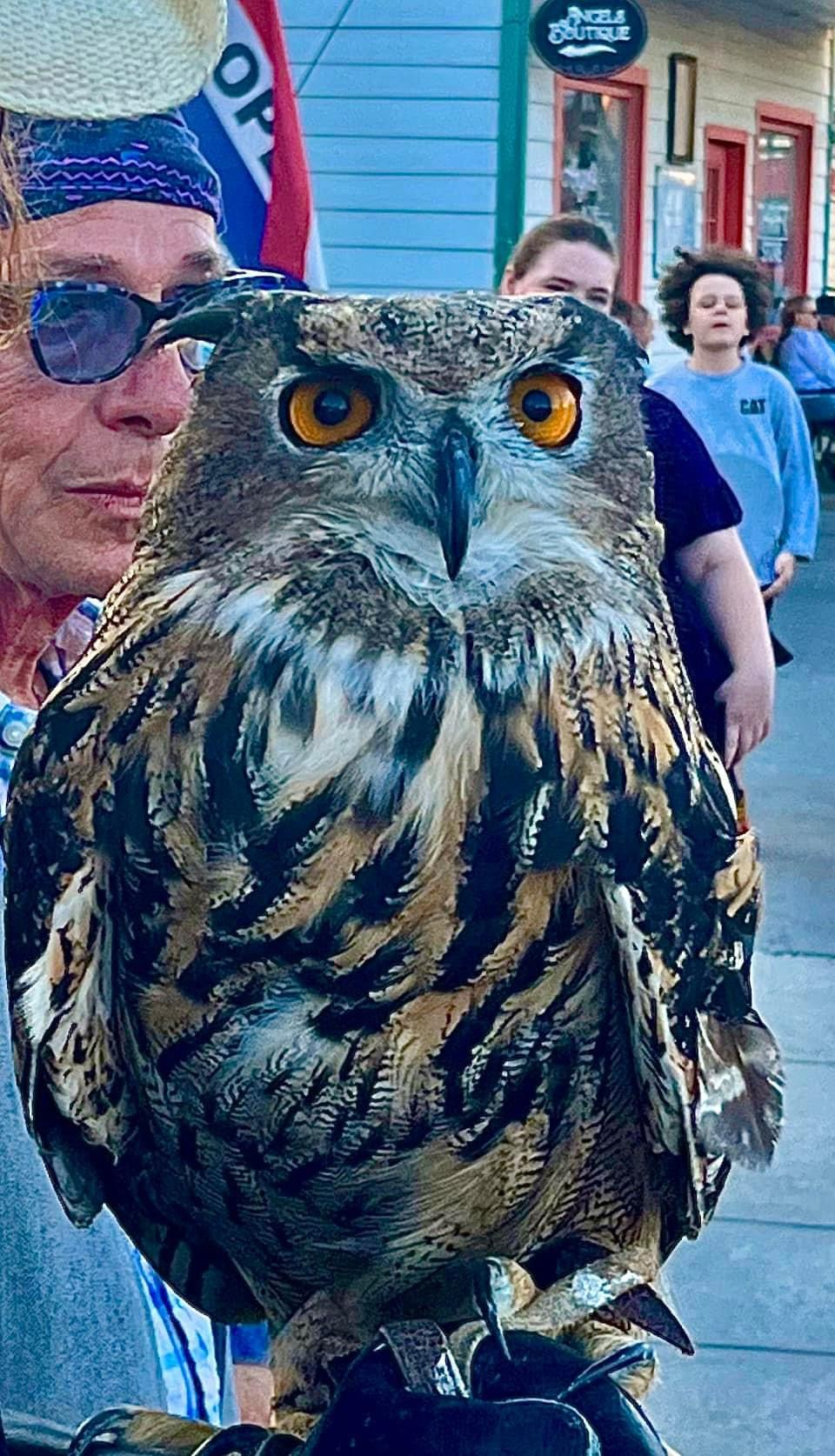 user avatar image for Saskia