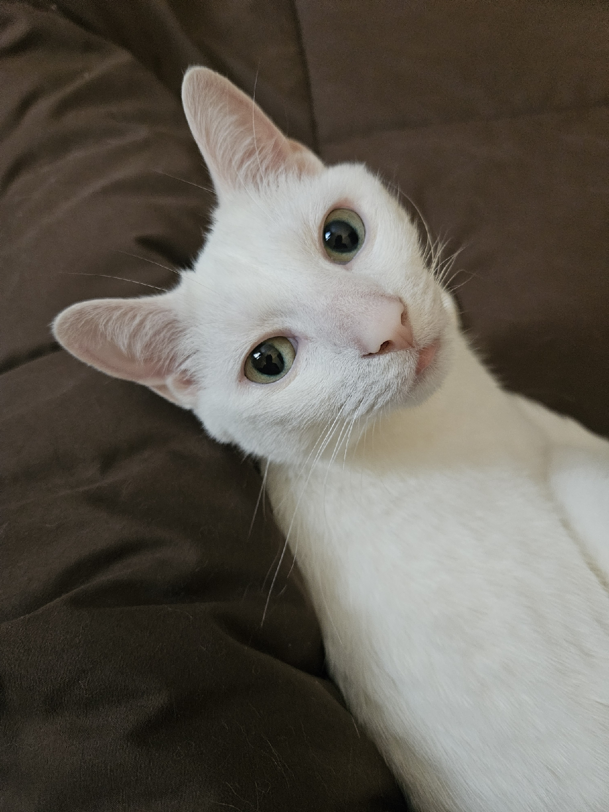 user avatar image for JoyCU 