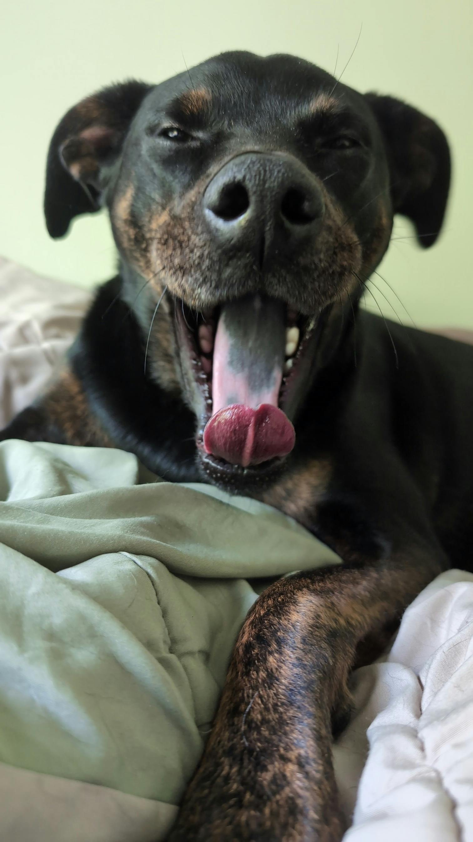 user avatar image for Drew Bragg