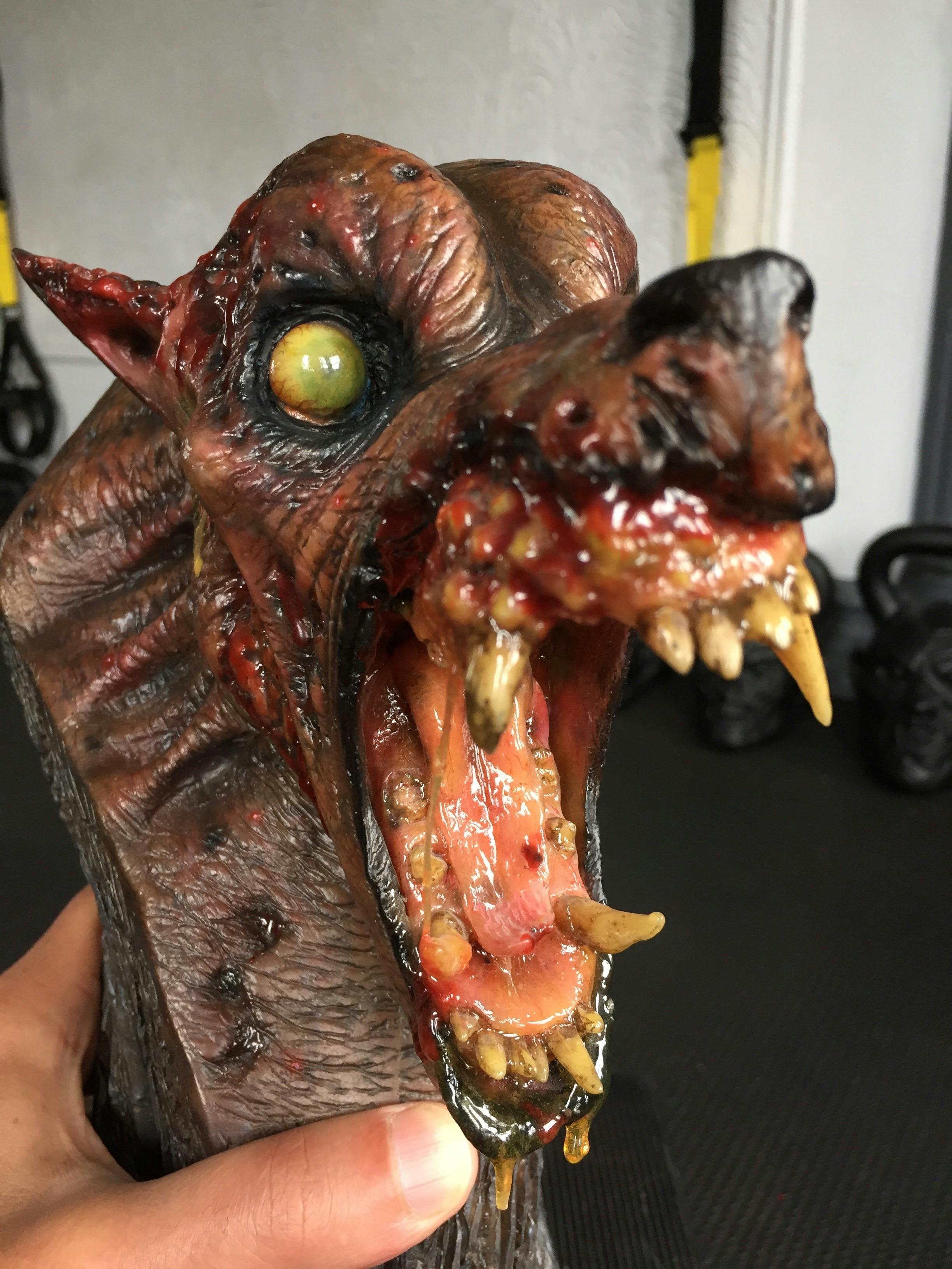 user avatar image for HorrorFreakNY 